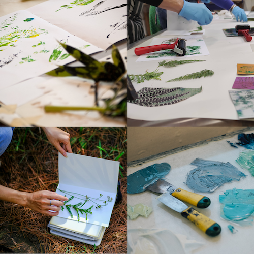 Summer School (2).png