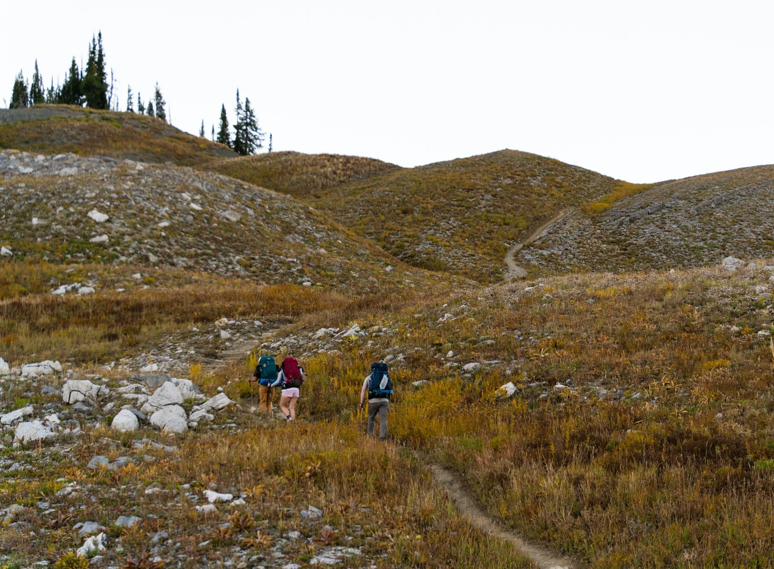 Four hikers with backpacks walking on a trail through a grassy and rocky mountain landscape under an overcast sky.