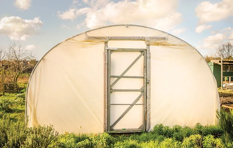 A beige greenhouse with a metal frame door, located in a garden with green plants and trees in the background under a partly cloudy sky.