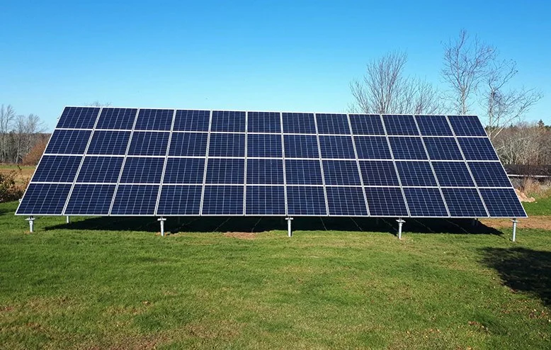 A field with a large array of solar panels installed on metal supports, under a clear blue sky with some trees in the background.