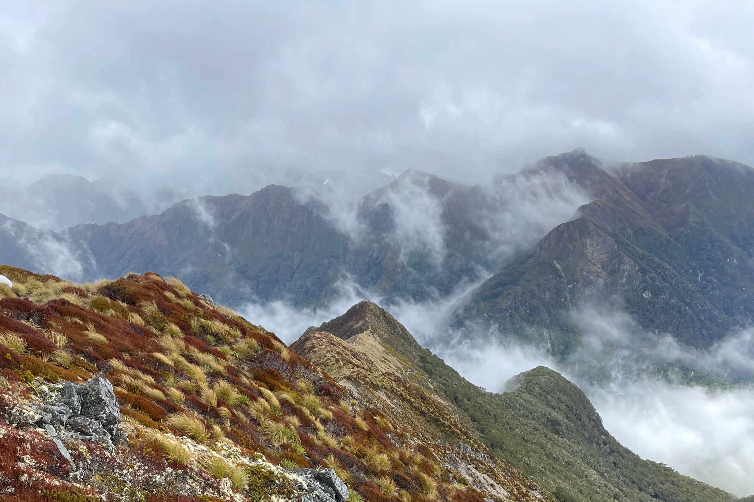 Cloud-covered mountain range with rugged peaks and colorful alpine vegetation in the foreground.