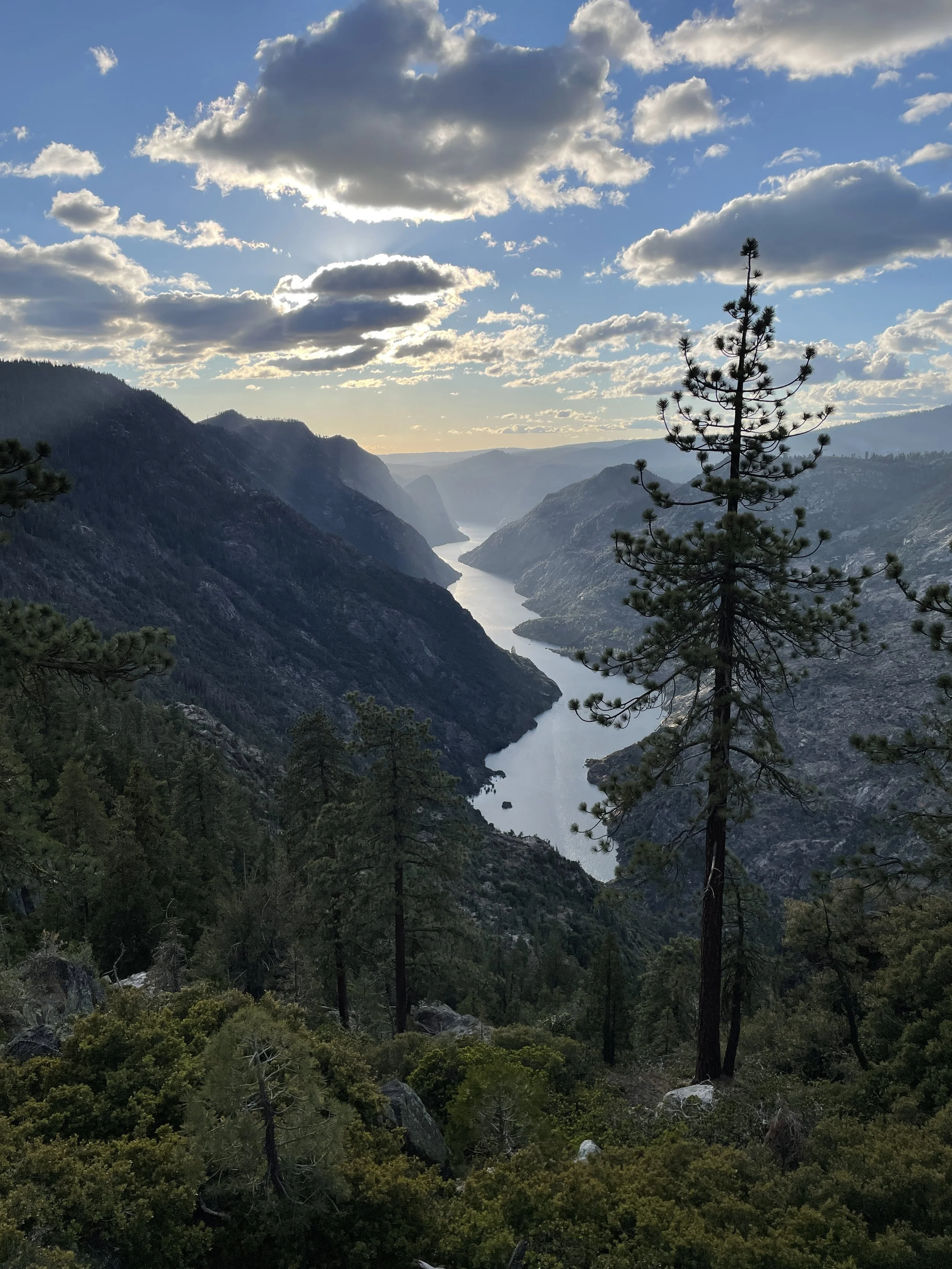 Scenic view of a winding river through a mountainous canyon with pine trees in the foreground and clouds in the sky
