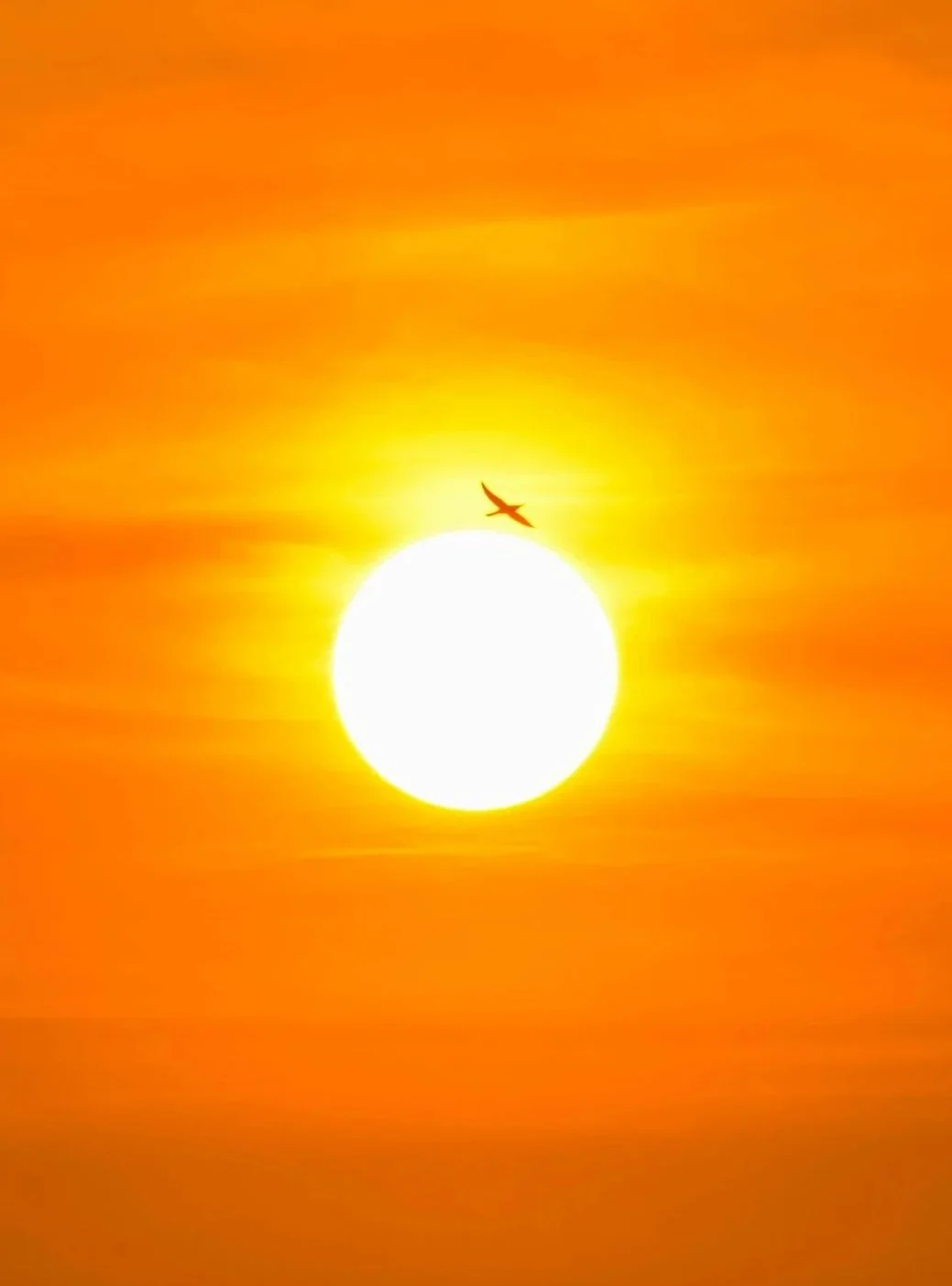 Solar Return Reading