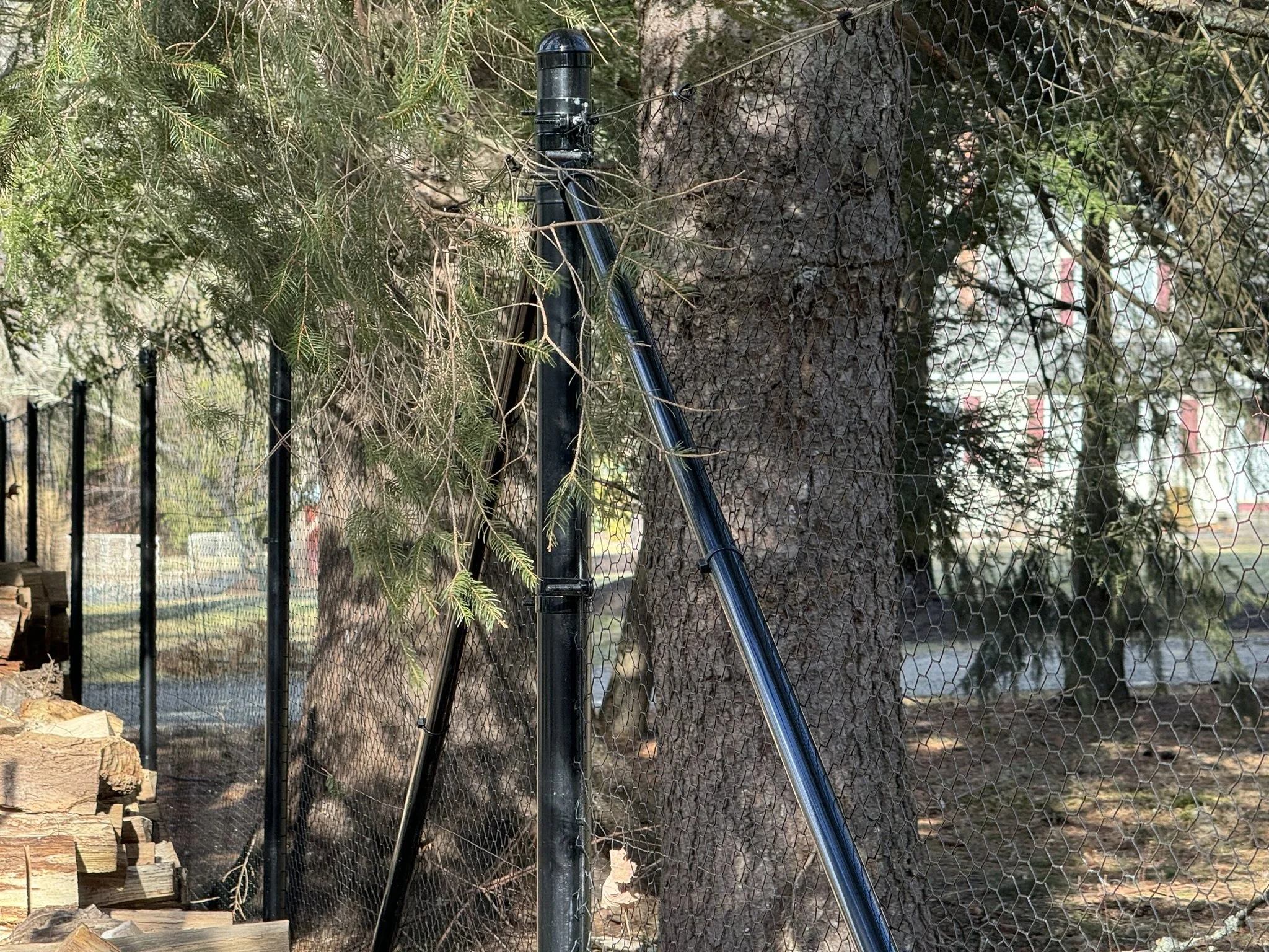 A close-up of a black metal fence post secured to a mesh wire fence, with a tree trunk behind it and green foliage hanging over part of the fence.