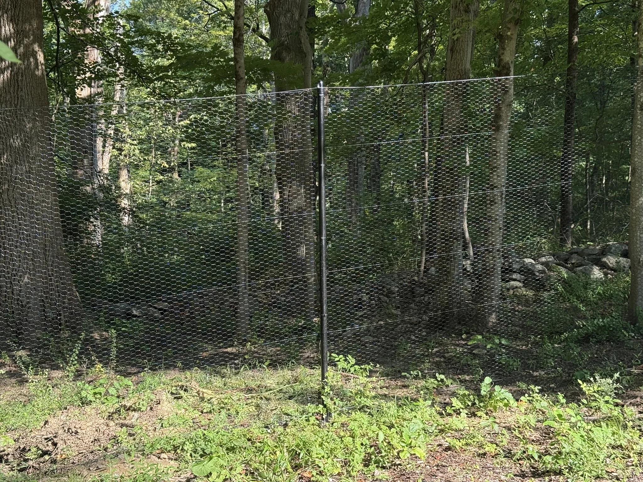 deer-fence-new-fairfield-ct.JPEG