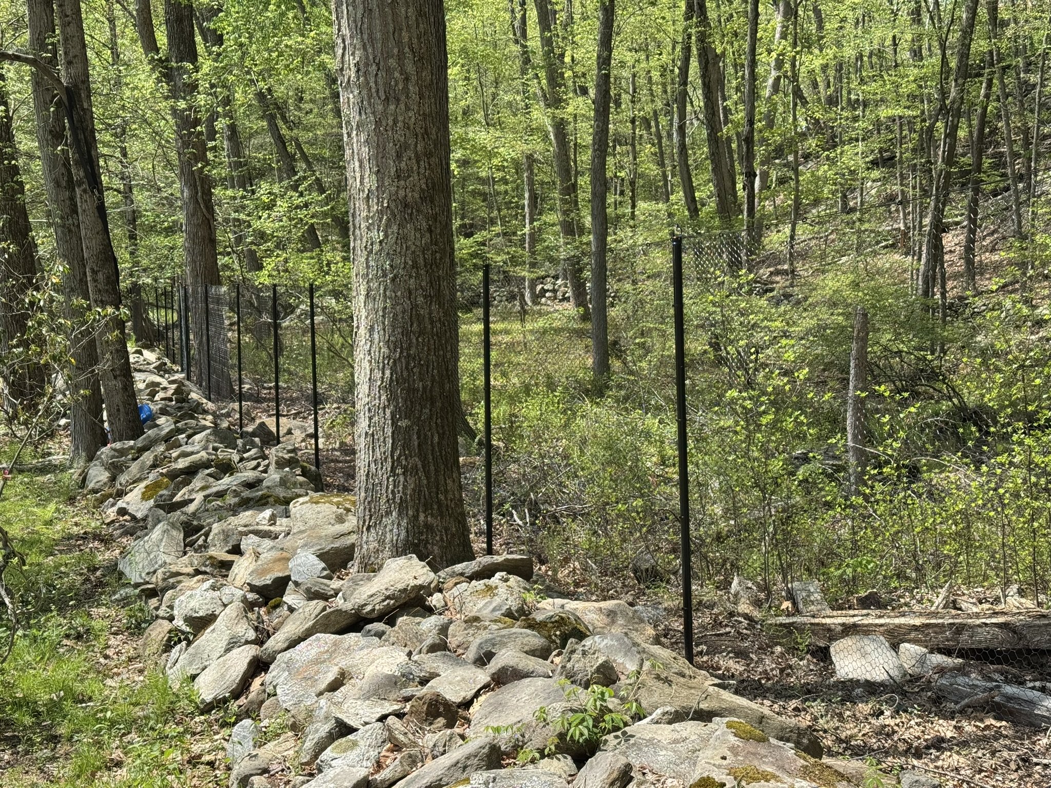 deer-fence-weston-ct.JPEG