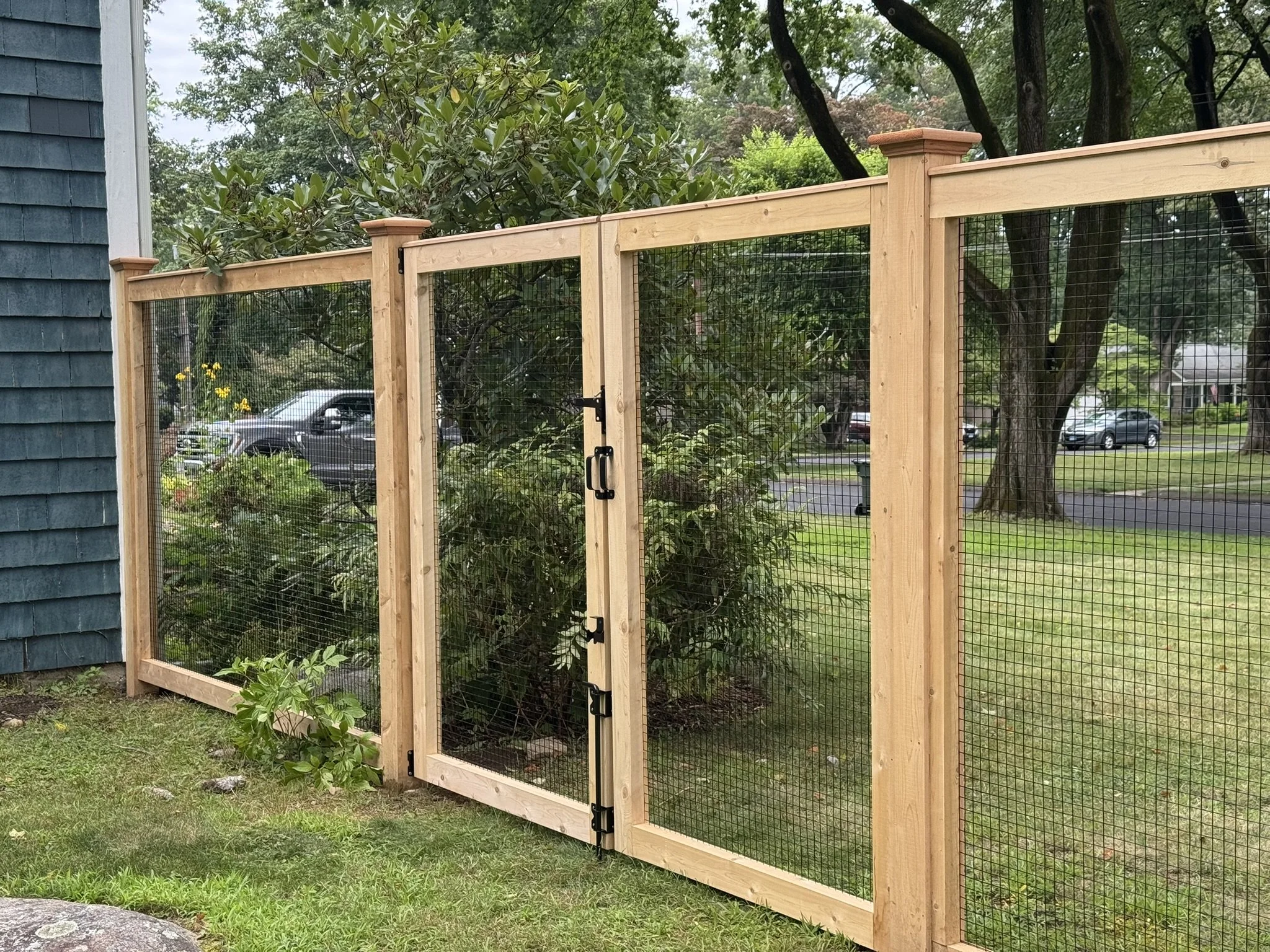 New wooden fence with wire mesh panels and a gate in front of a house, with trees, shrubs, and parked cars in the background.