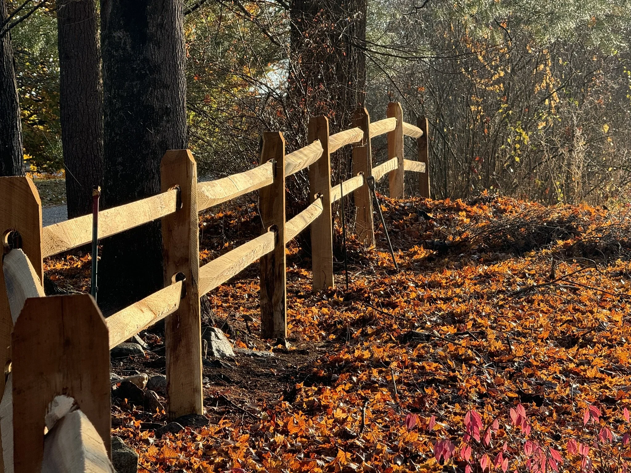 Locust split rail fence installed in Cornwall, CT.