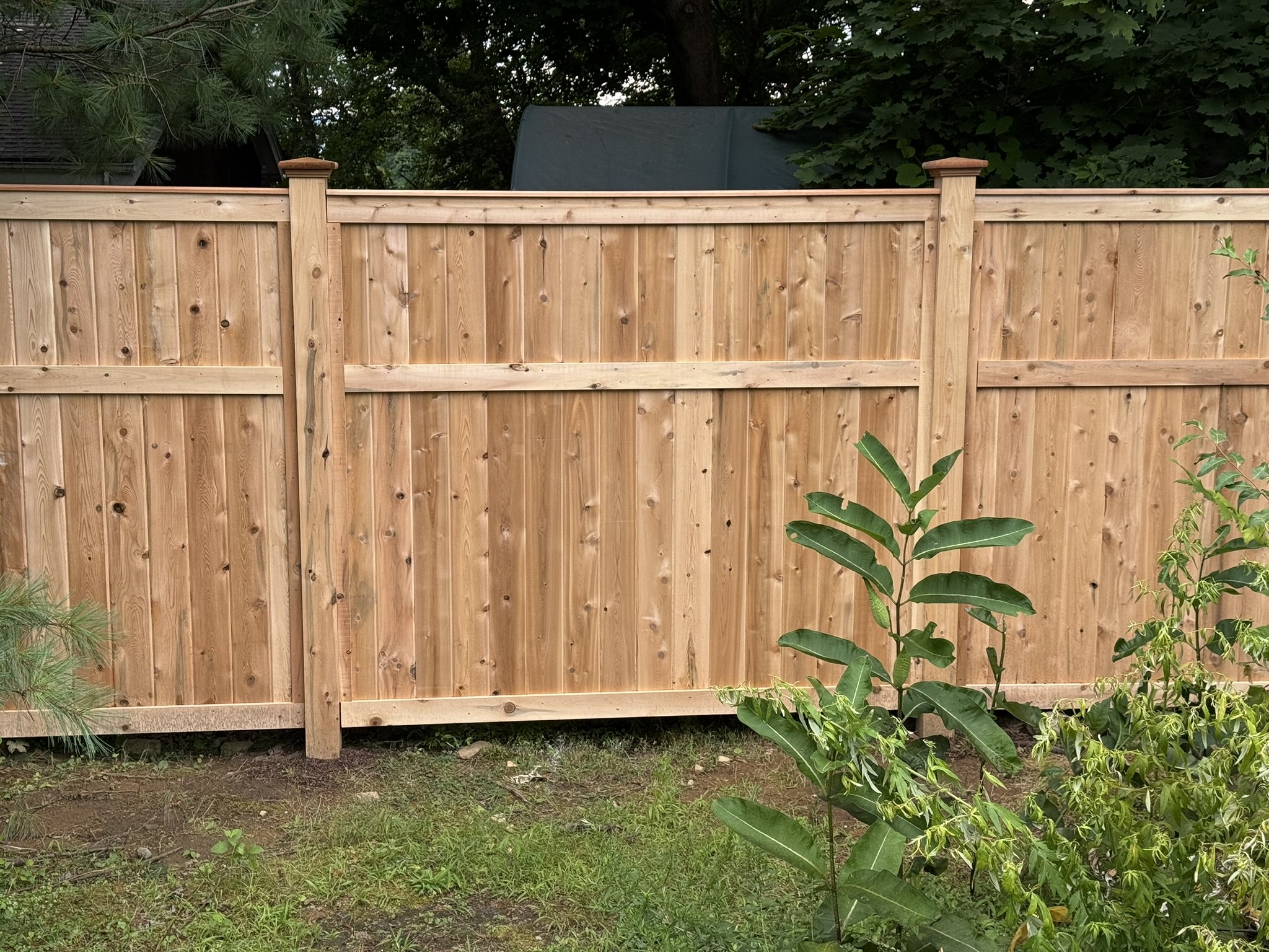 cedar-tongue-and-groove-privacy-fence-danbury-ct.JPEG