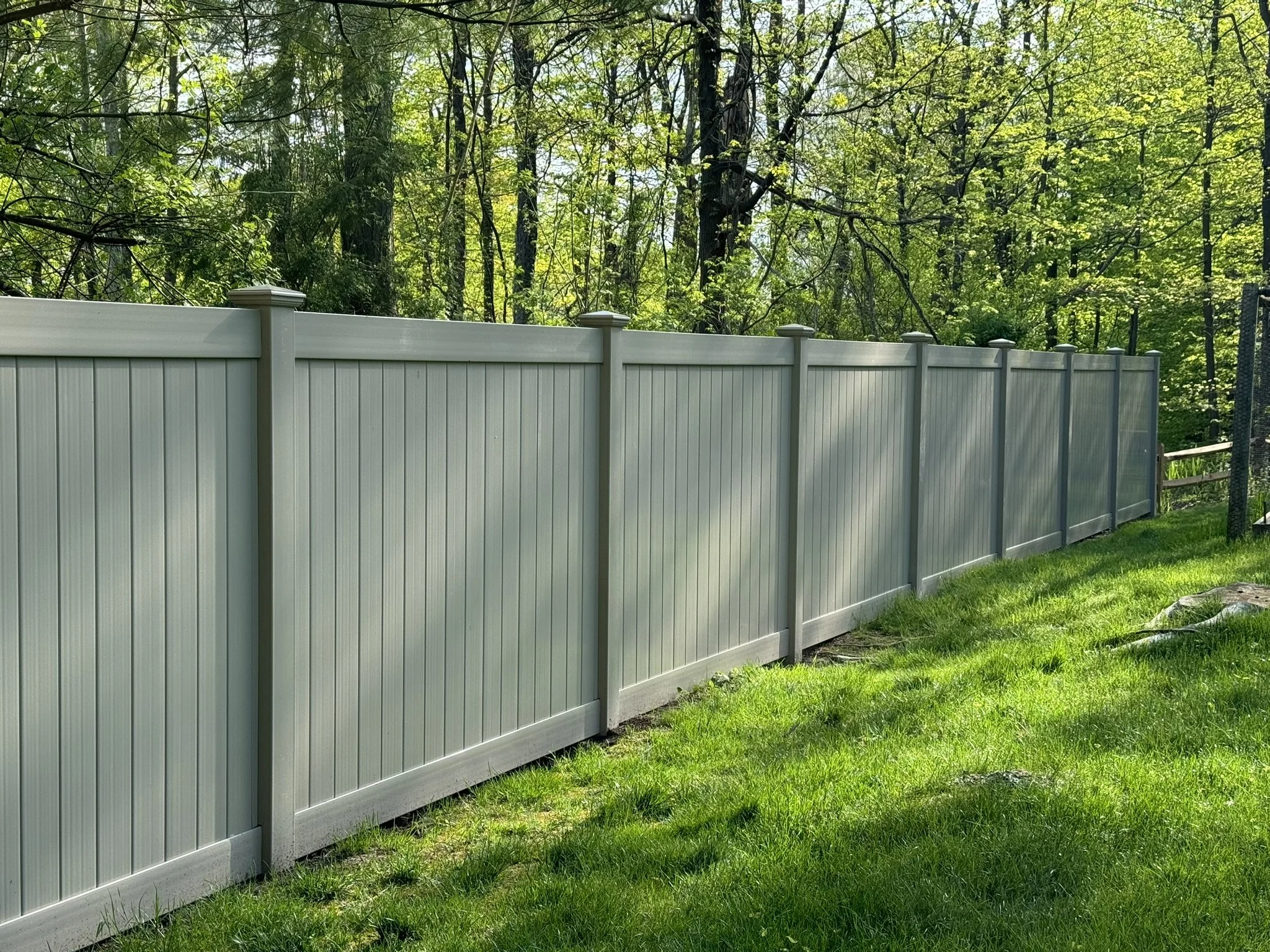A white vinyl fence runs along a grassy yard with wooded area behind it, sunlight filtering through the trees.