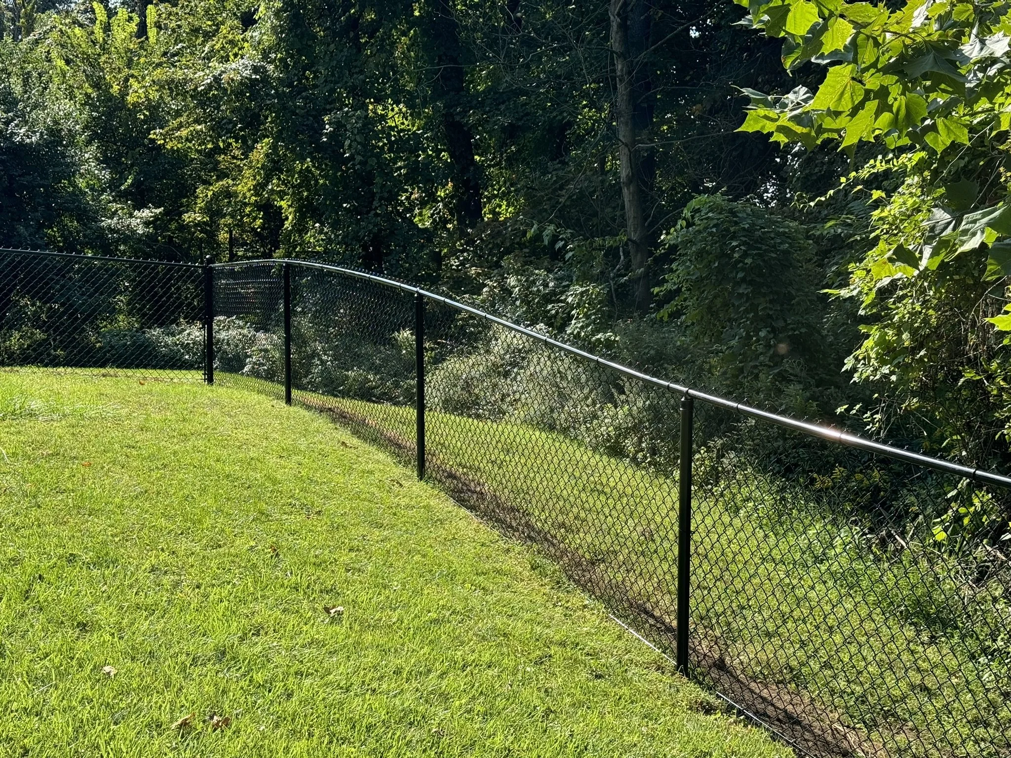A black chain-link fence runs along a lush green grassy yard, bordering a wooded area with tall trees and thick bushes.