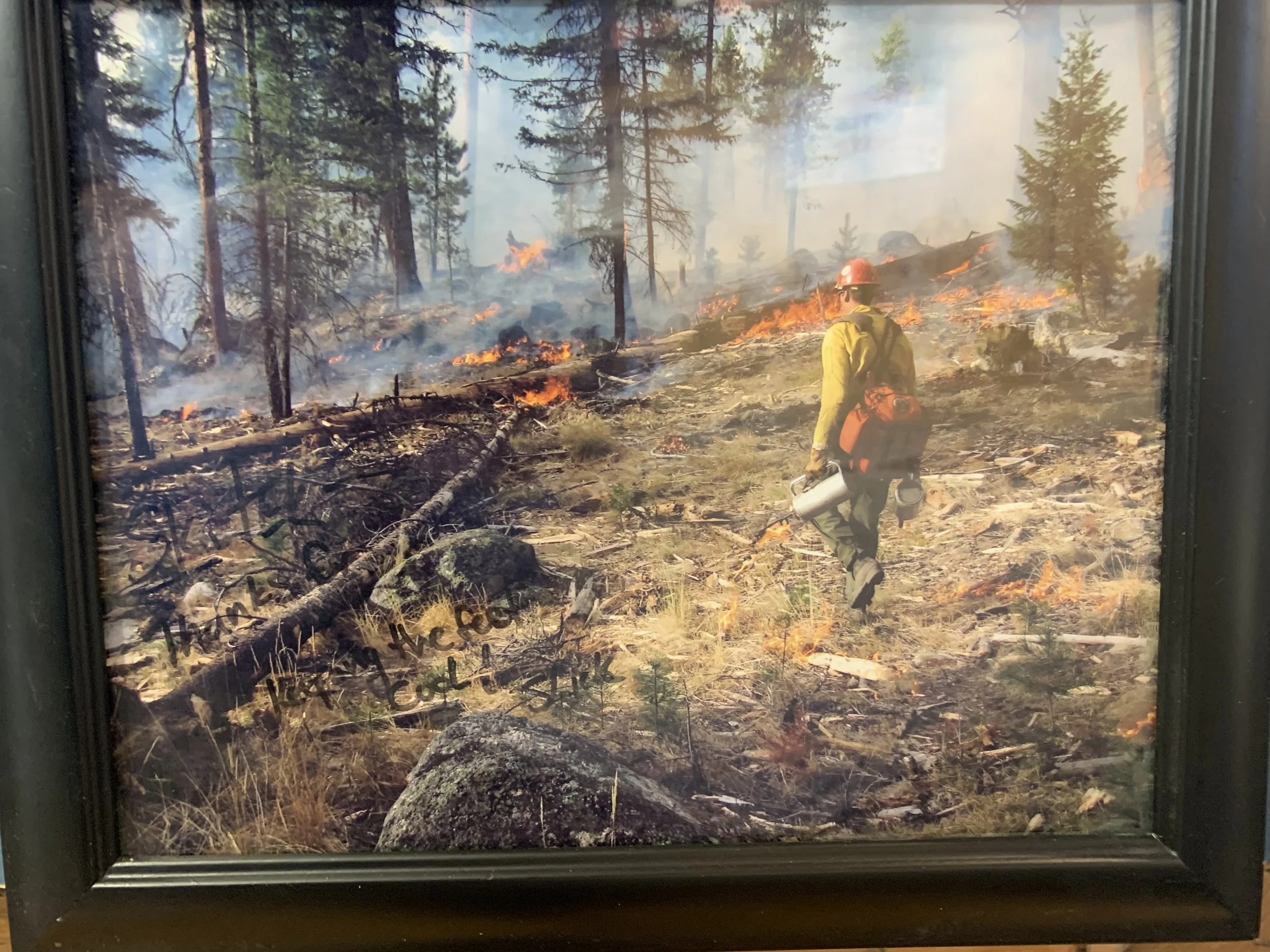 A firefighter in yellow gear and an orange helmet walking through a forest on fire, with flames and smoke in the background, carrying equipment.