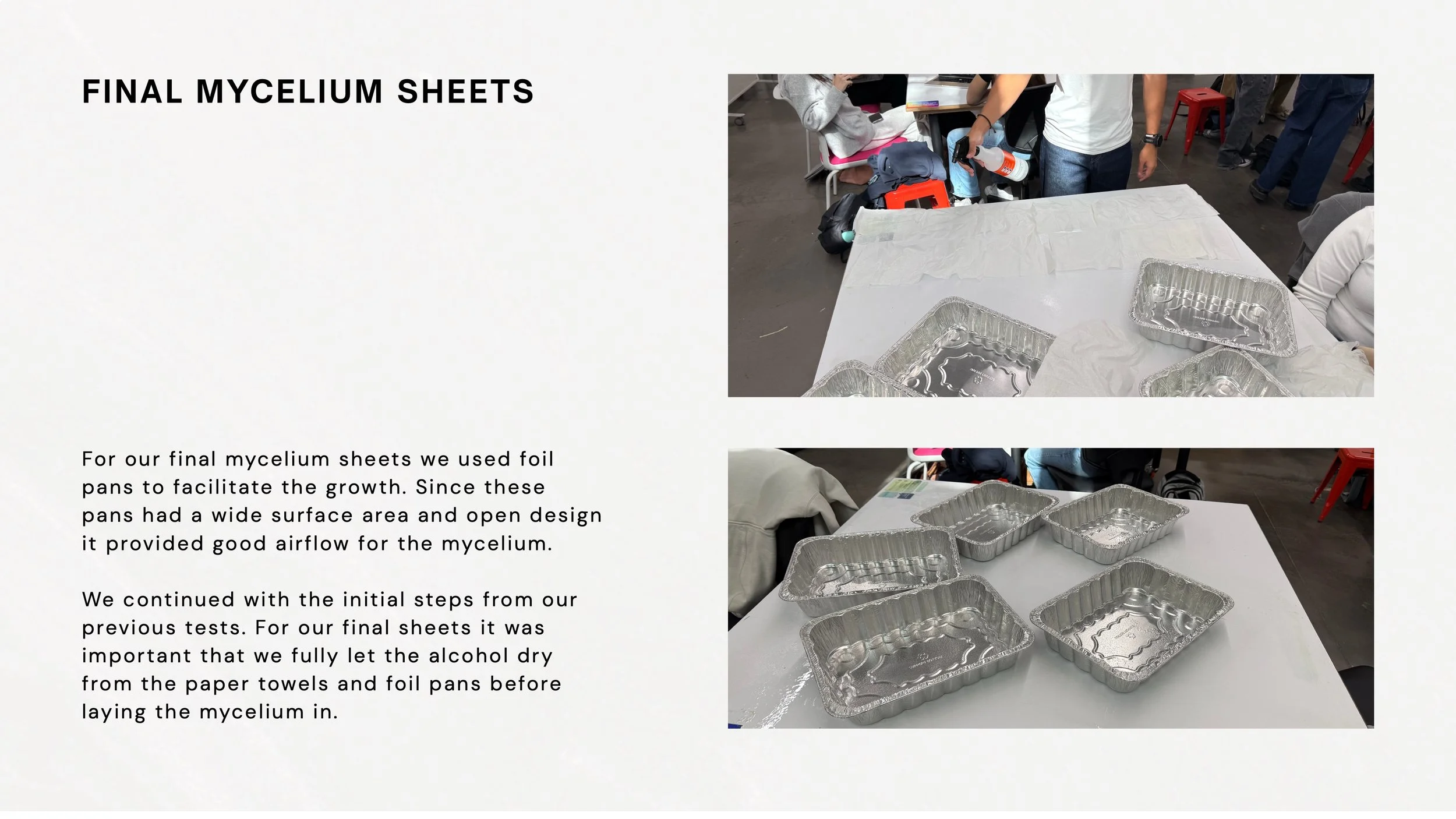 Mycelium Process Book 10.jpeg
