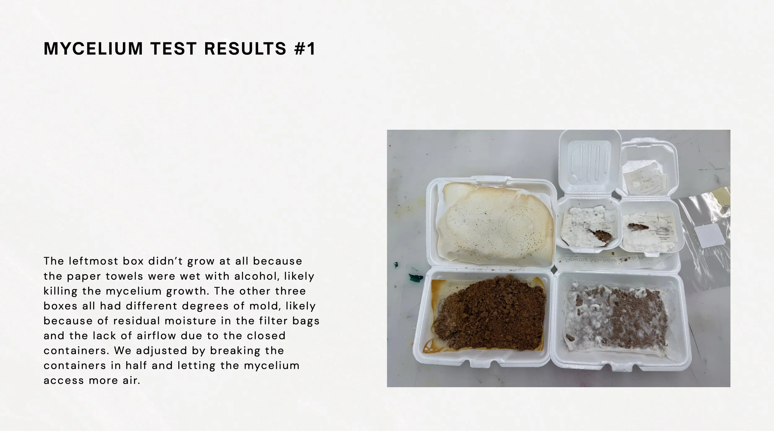 Mycelium Process Book 7.jpeg