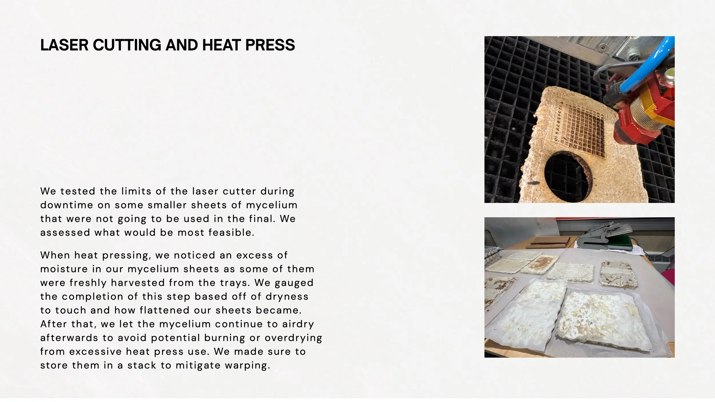 Mycelium Process Book 13.jpeg