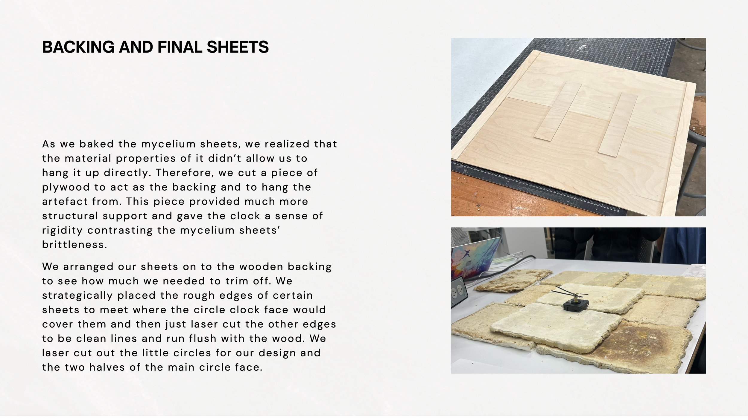 Mycelium Process Book 14.jpeg