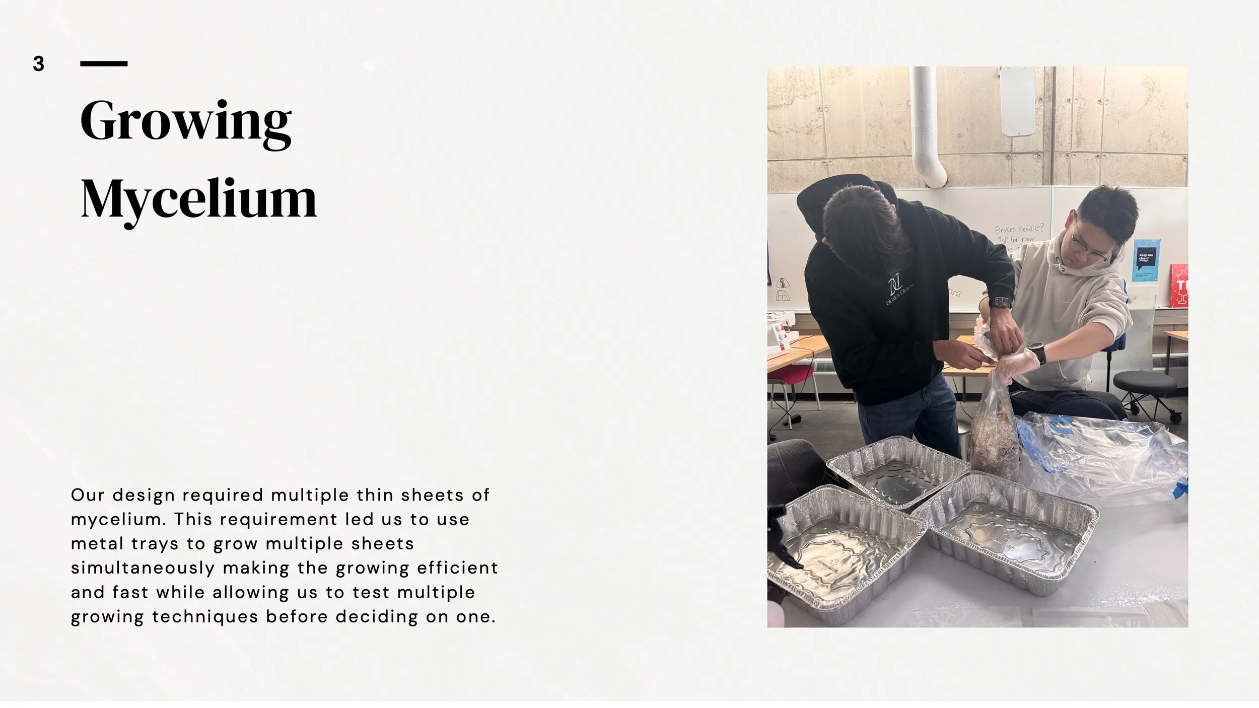 Mycelium Process Book 5.jpeg