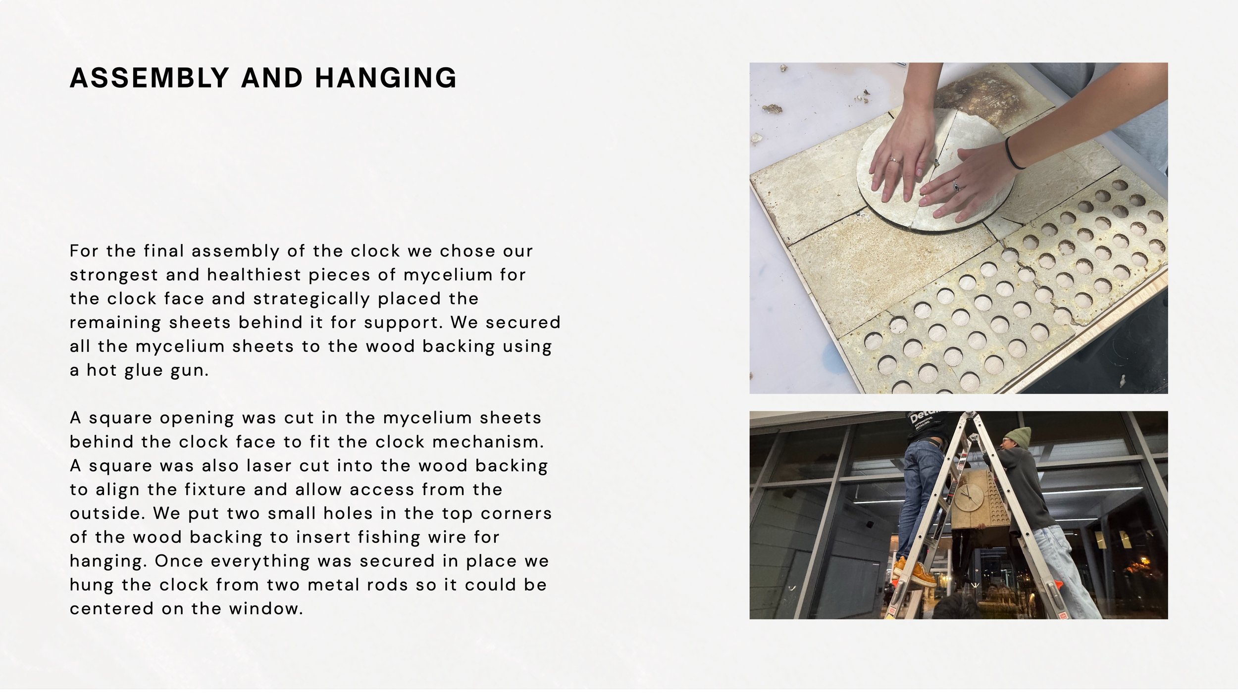 Mycelium Process Book 15.jpeg