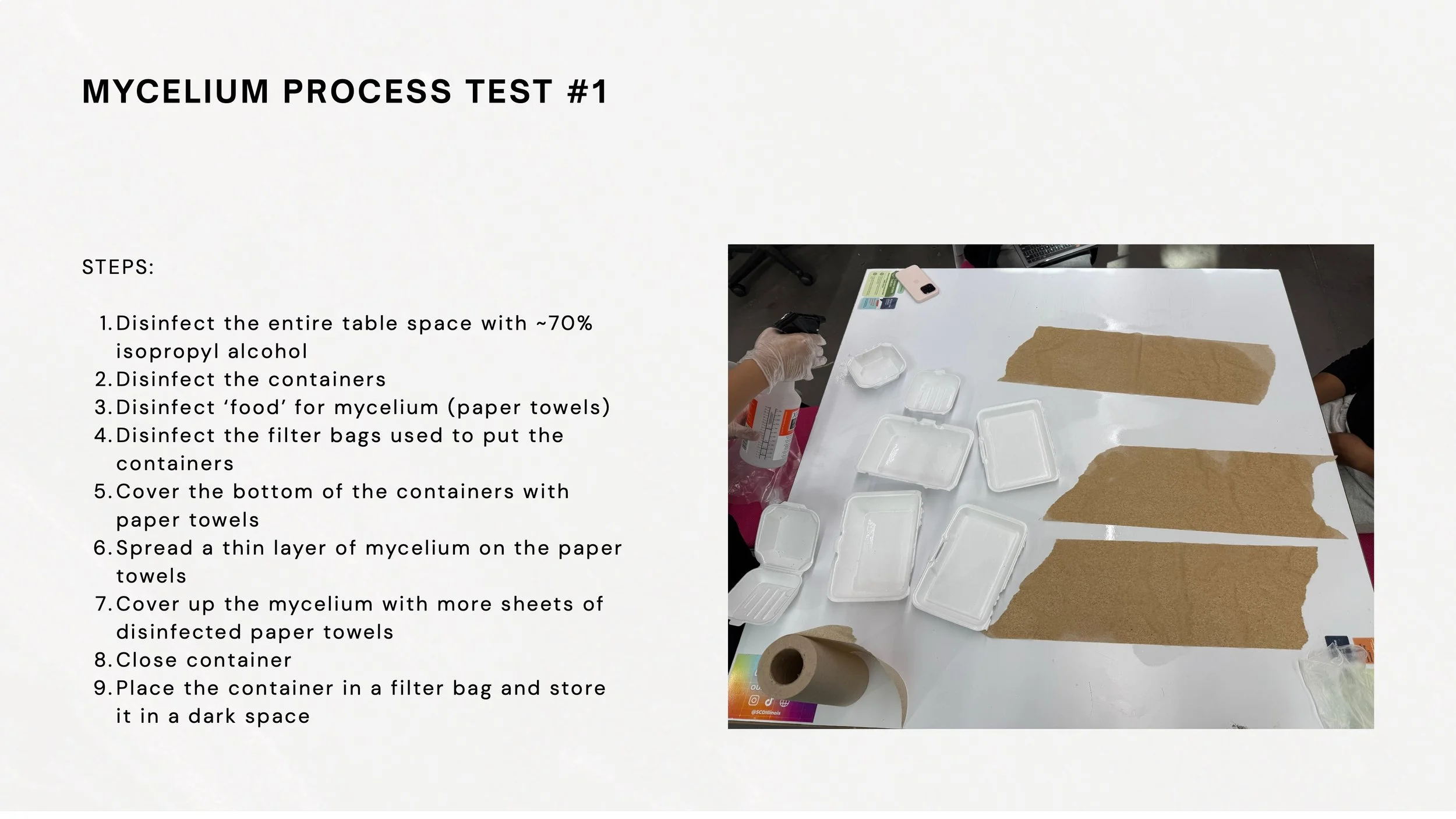 Mycelium Process Book 6.jpeg