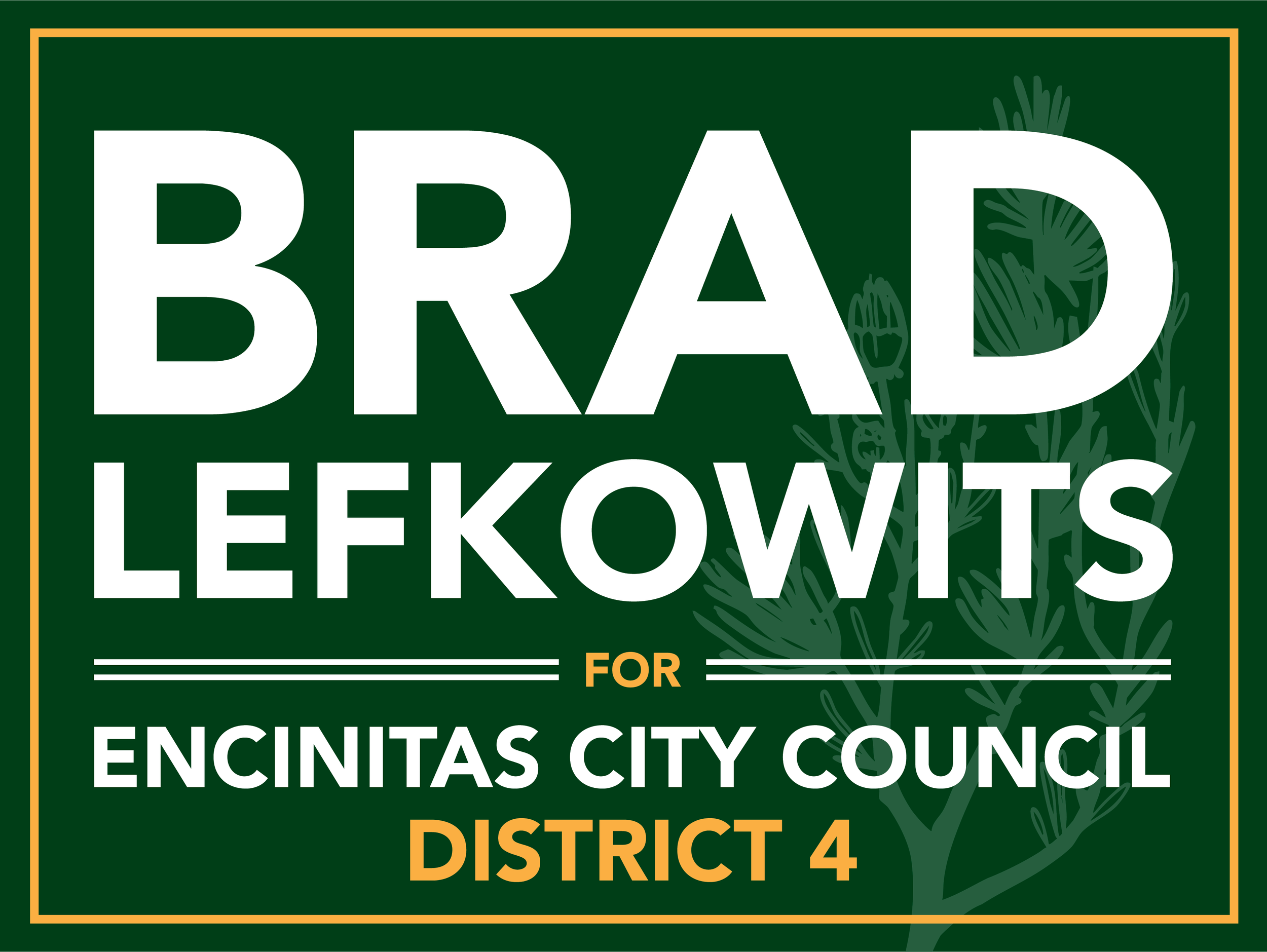 Brad Lefkowits Logo