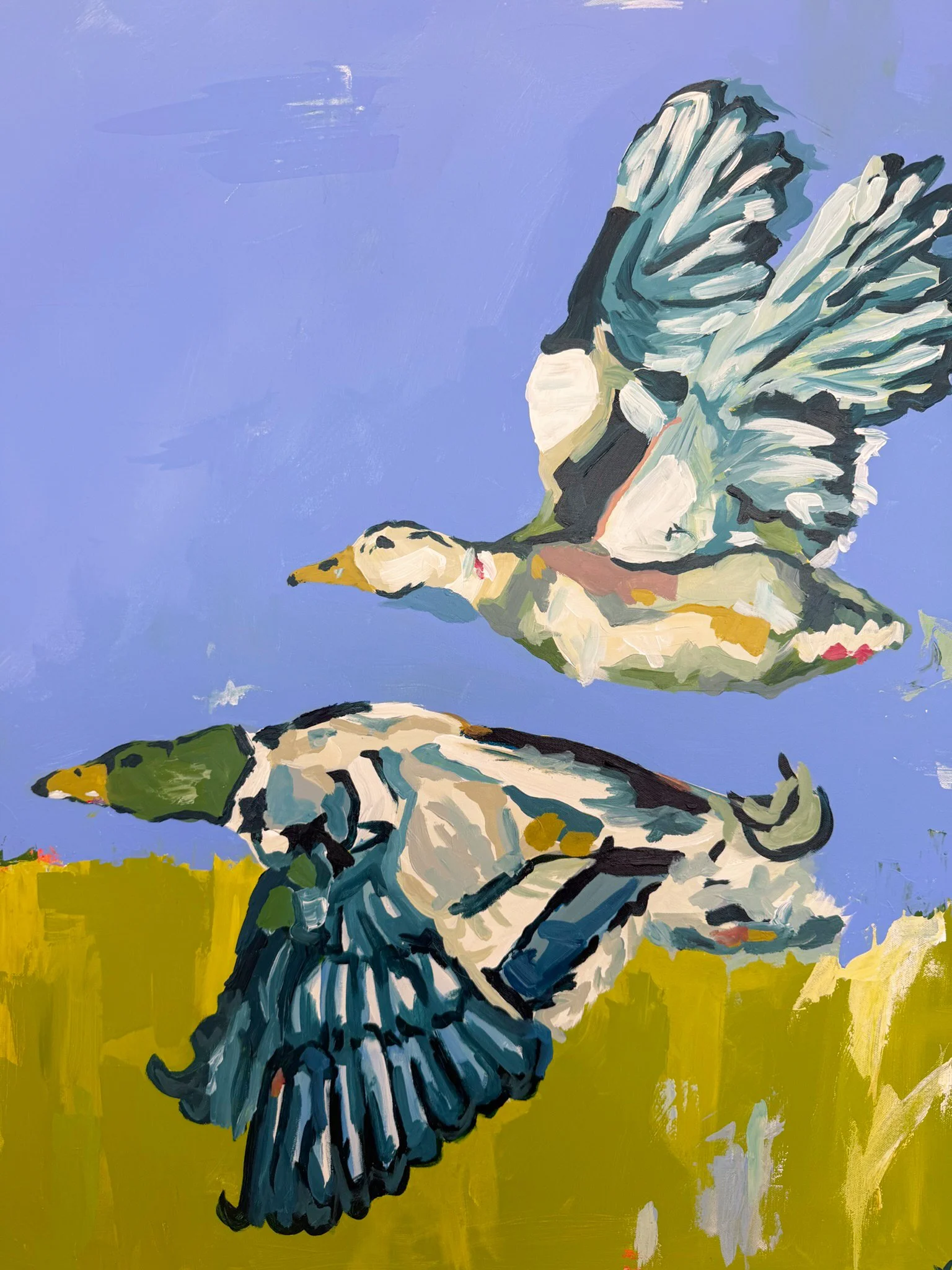 Painted illustration of a flying mallard duck with a purple sky and green grass background.