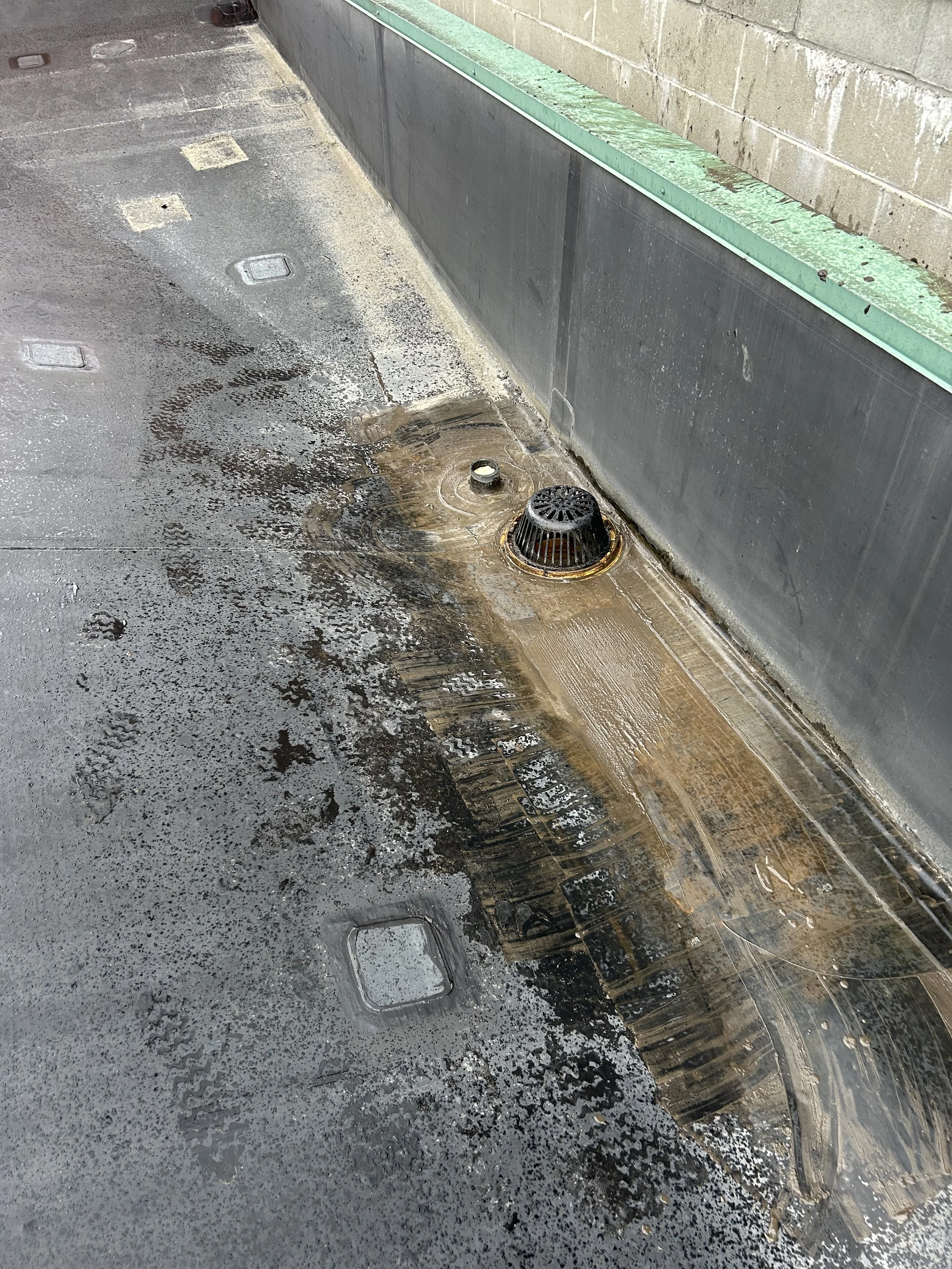 Maintenance Programs