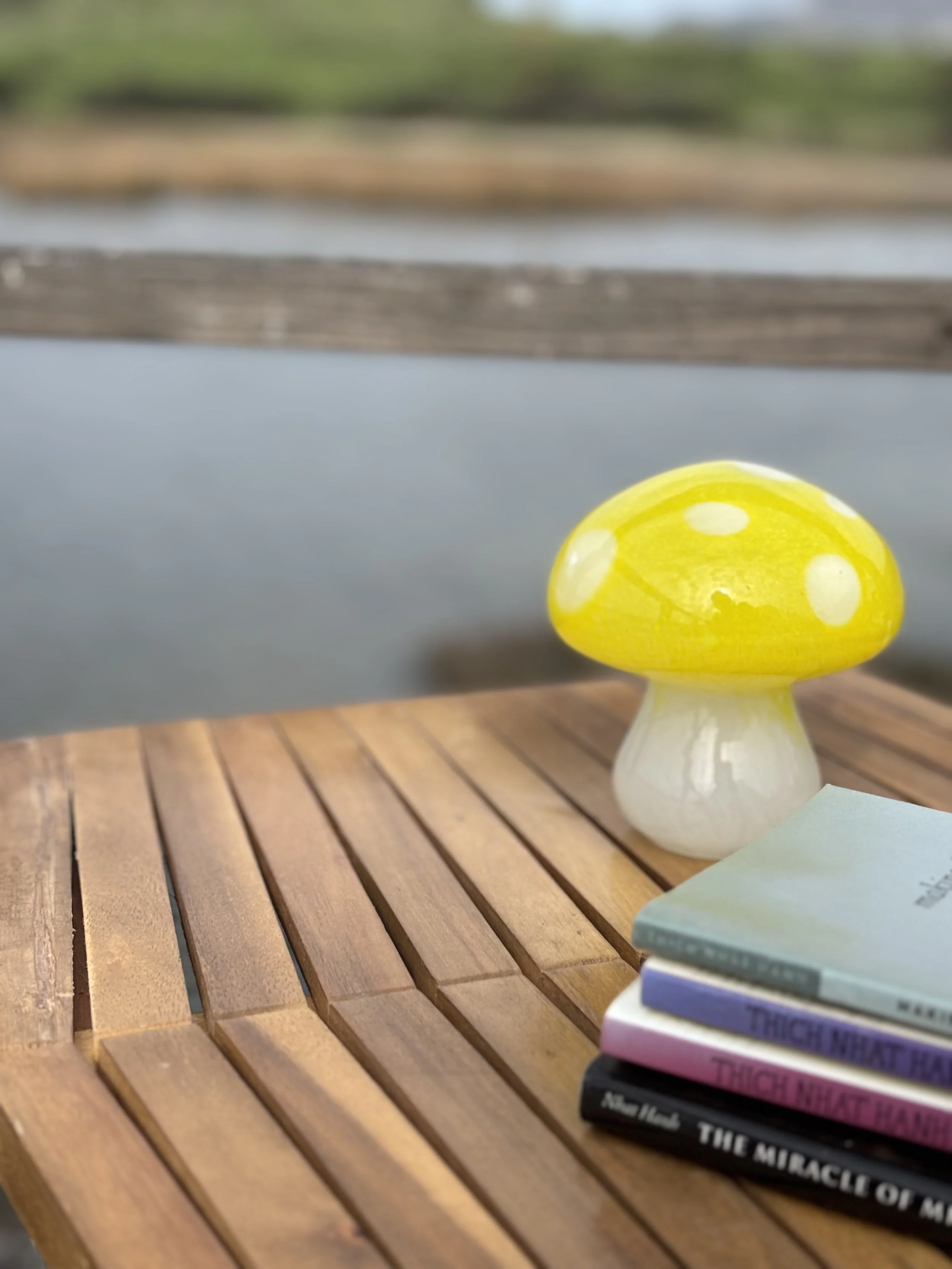 A yellow mushroom-shaped decorative object with white spots, placed on a wooden table near a stack of books, outdoors near a body of water with a blurred background.
