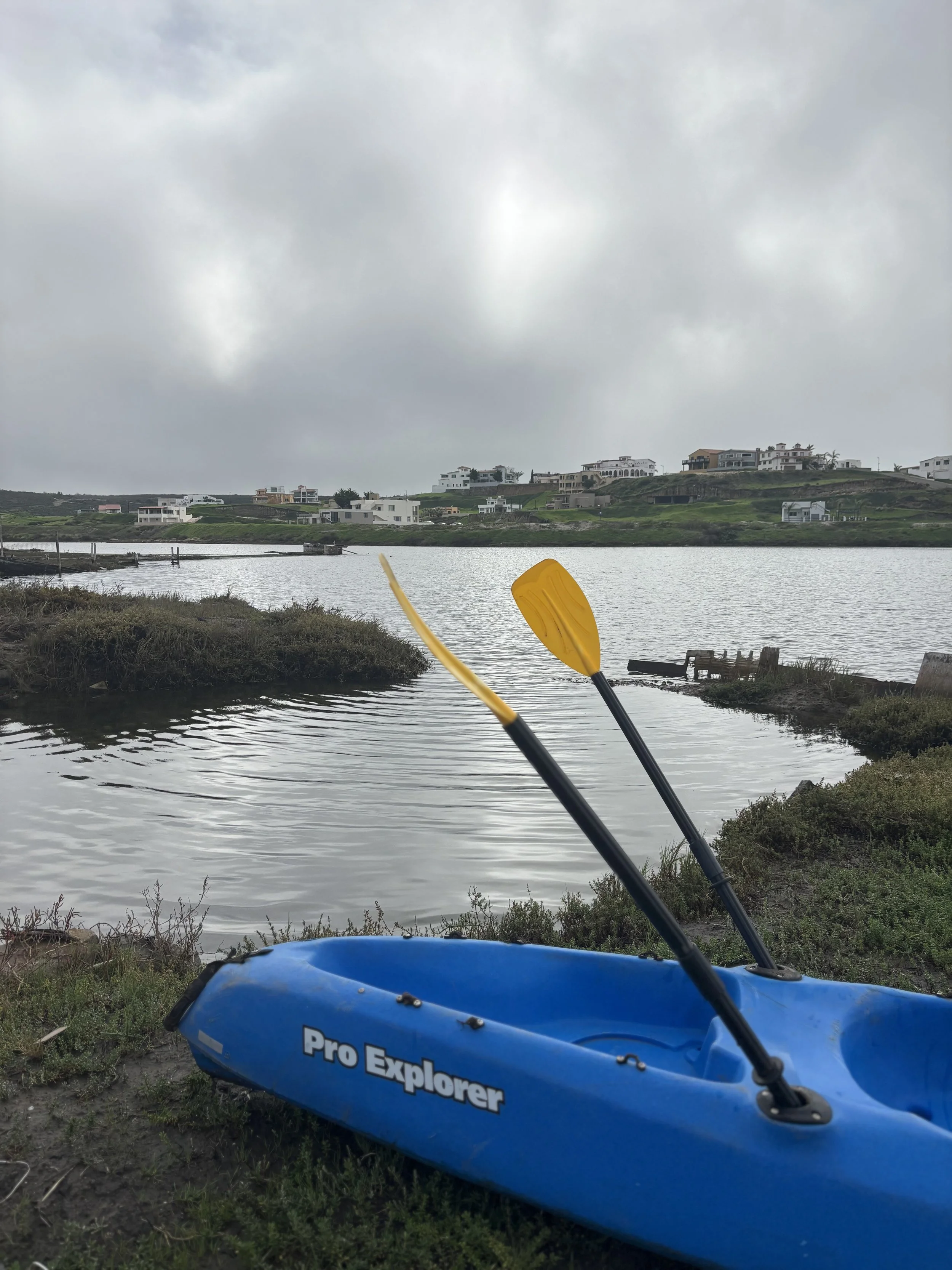 A blue kayak labeled 'Pro Explorer' with yellow paddles resting on the grassy shore, overlooking a calm body of water with houses on the hill in the background and cloudy sky above.