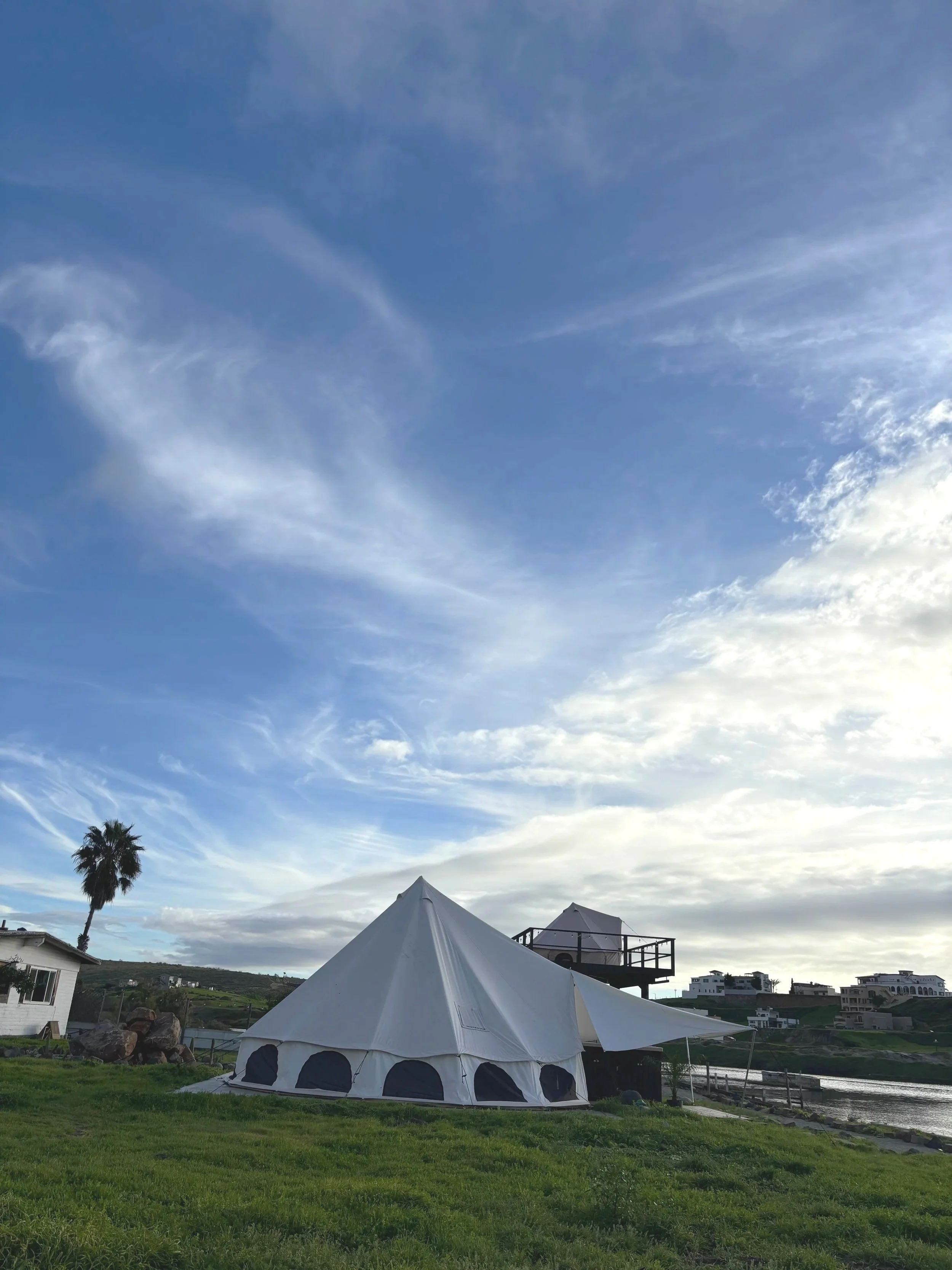 A large white tent with black windows set up on a grassy area near water, with a palm tree, houses, and a blue sky with clouds in the background.