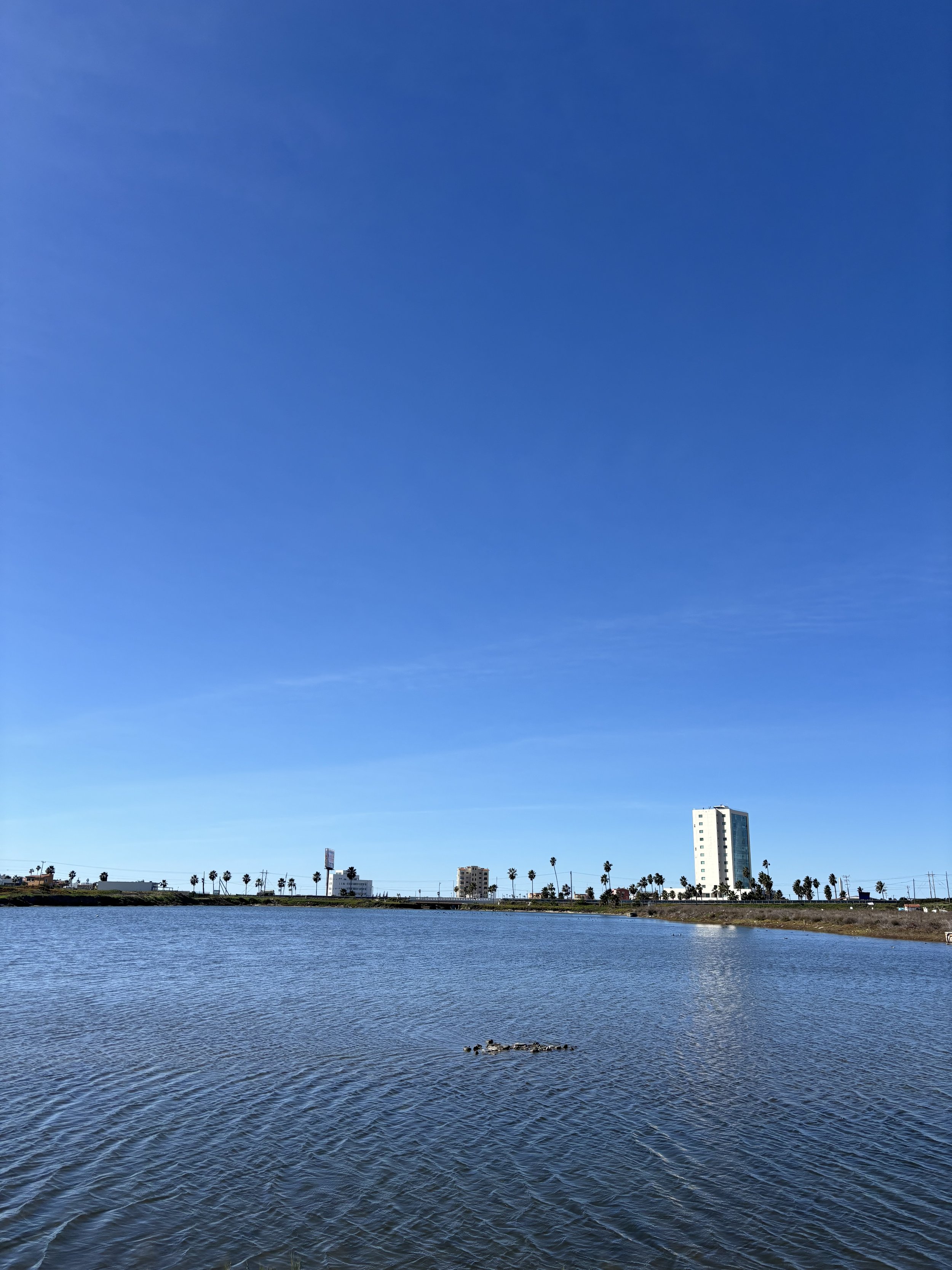 A cityscape with a body of water in the foreground, tall buildings in the background, and a clear blue sky overhead.