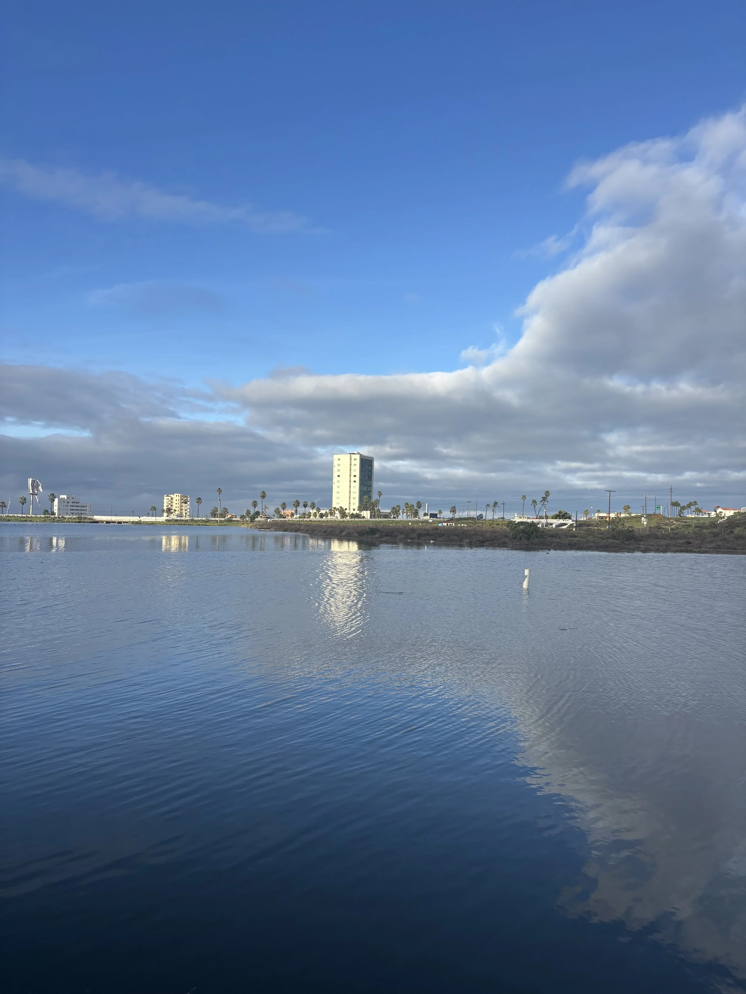 View of a river or lake with a city skyline in the background, including a tall white building and palm trees under a partly cloudy sky.