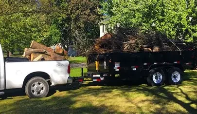 Hauling & Yard Debris Removal