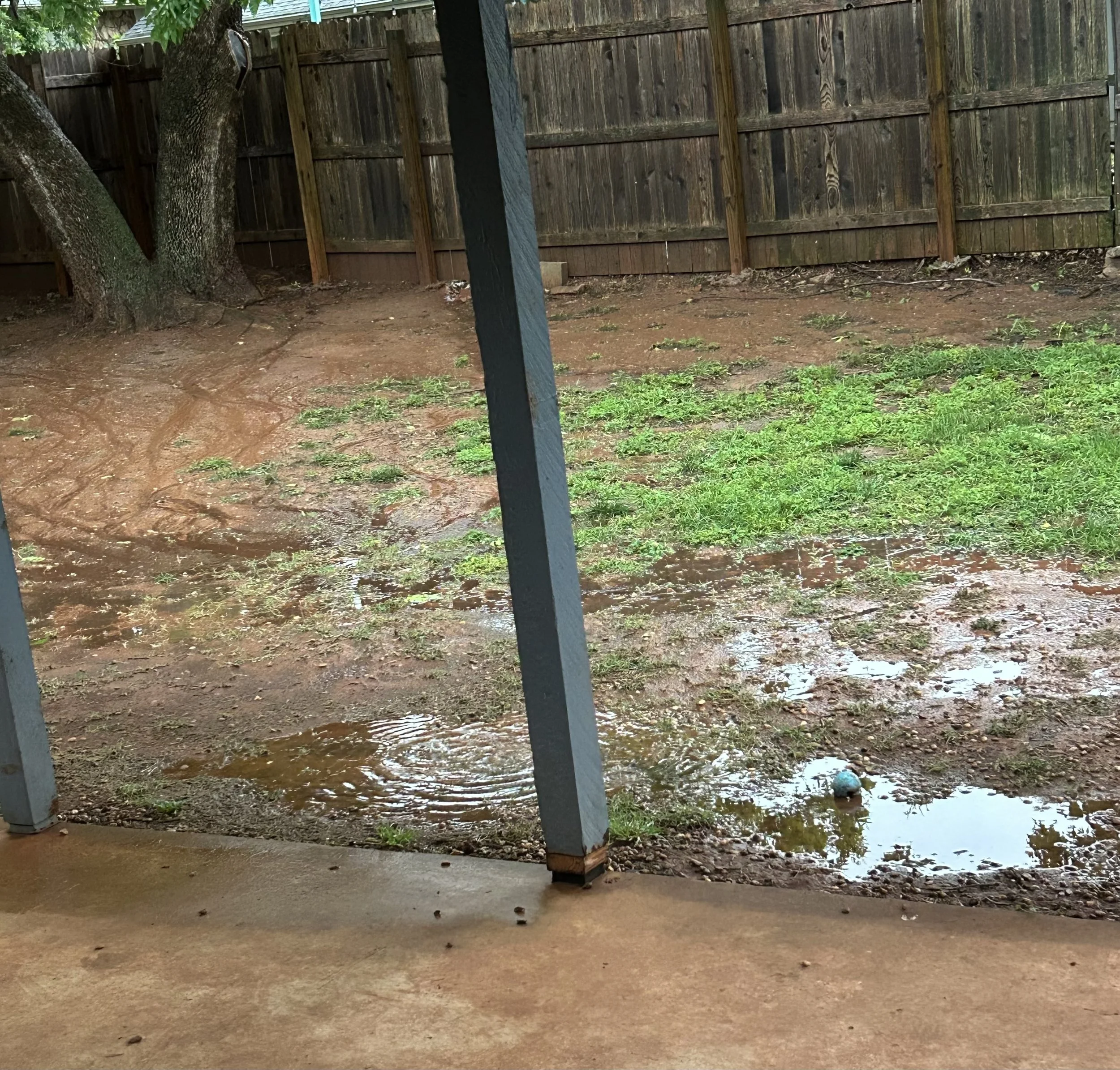 A backyard with a muddy patch of ground, a tree, a wooden fence, and a black vertical post.