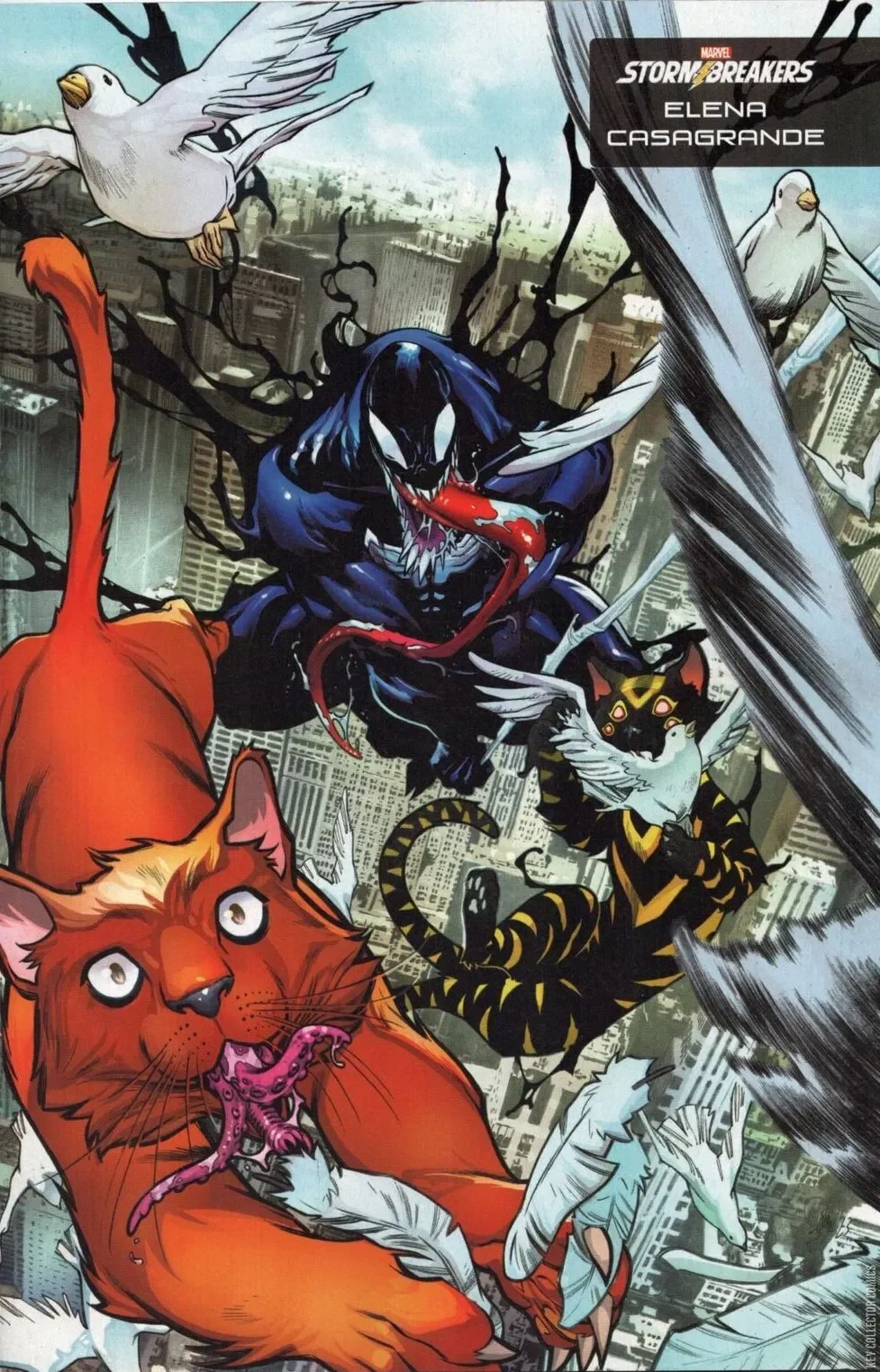 Venom #24 (m)