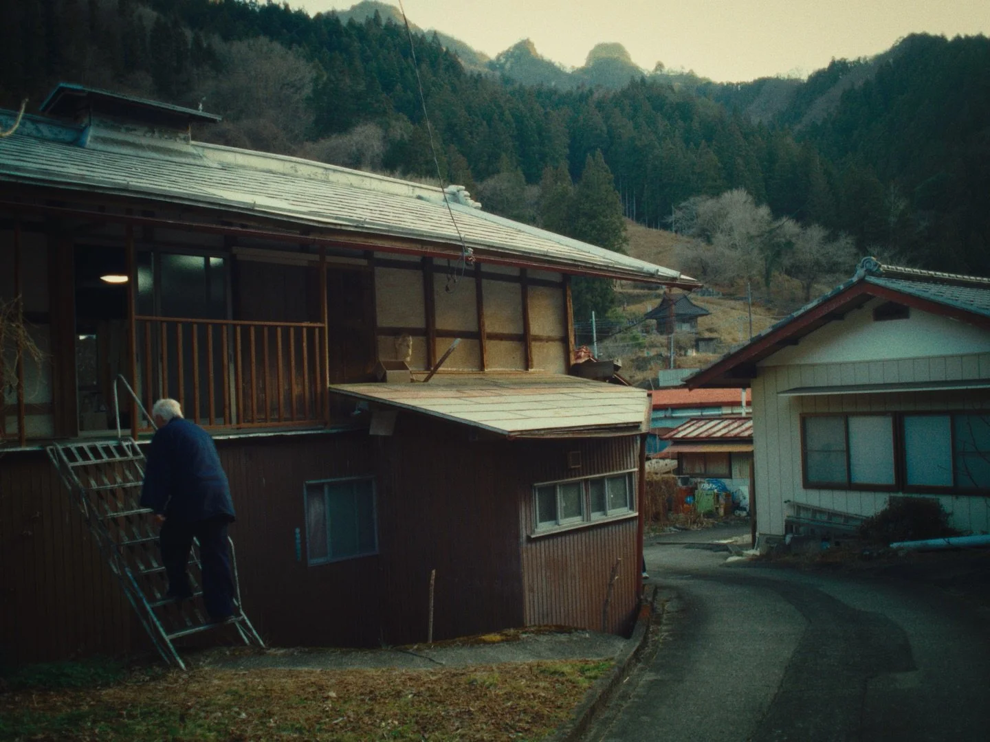 Still 2026-03-03 215628_1.84.1.jpeg