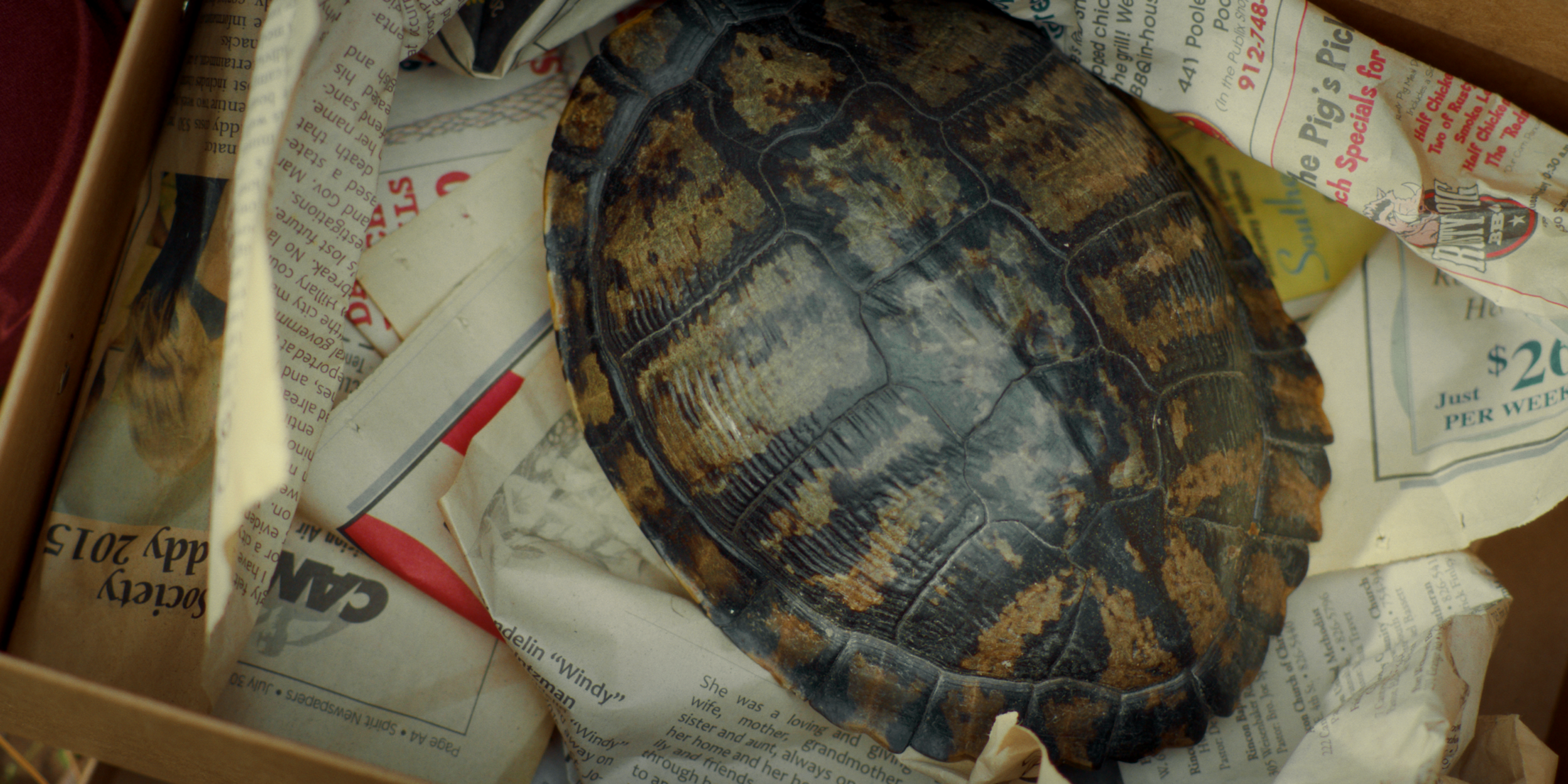 Still 2026-01-27 100142_1.24.1.png