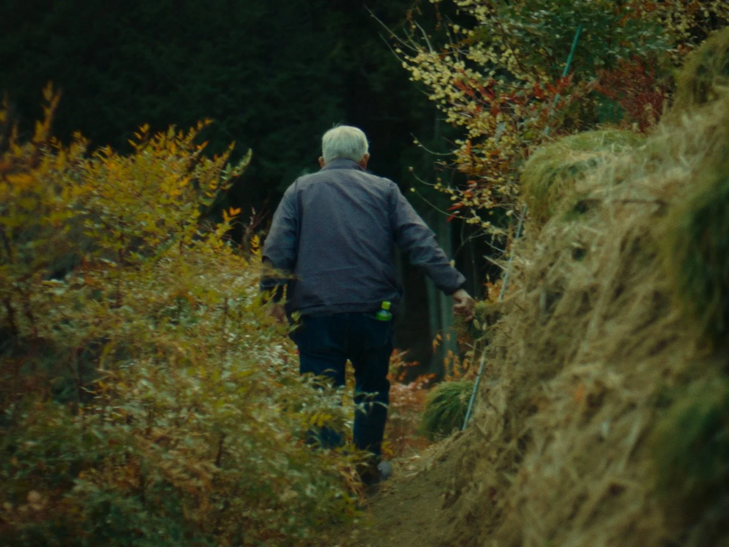 Still 2026-03-03 215628_1.204.1.jpeg