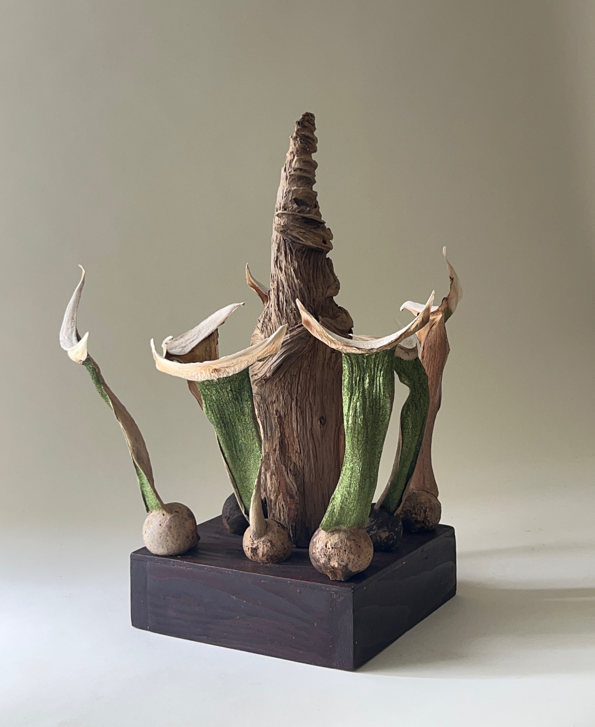 Homage 17.5"x13"x14" palm fronds and driftwood