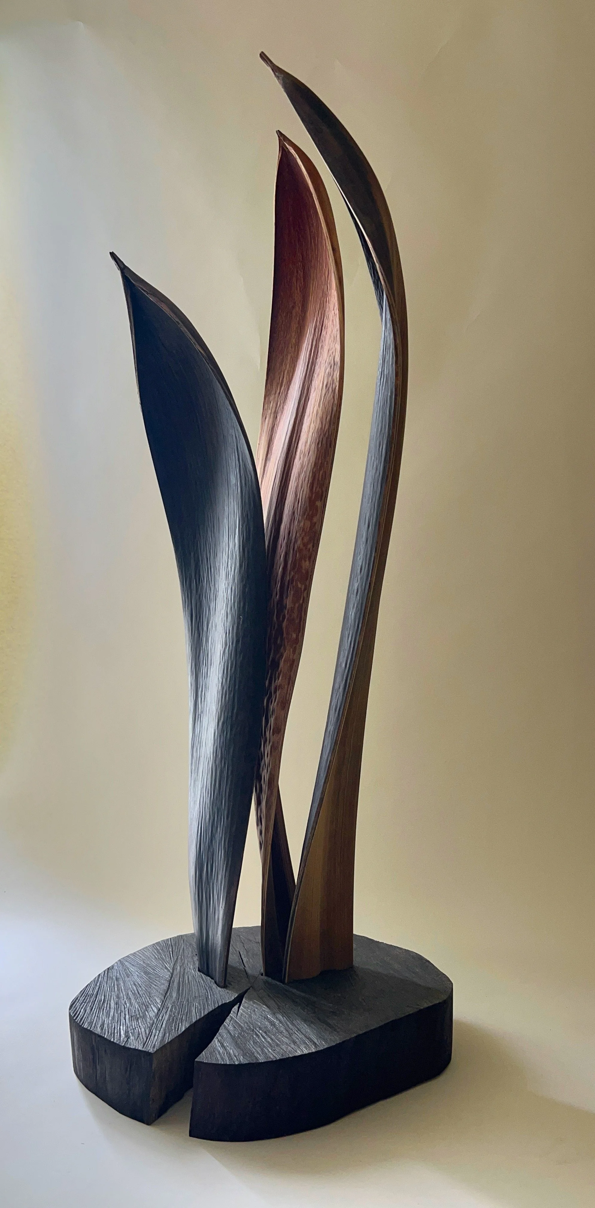 The Brothers 39"x15"x14" palm fronds and found wood base