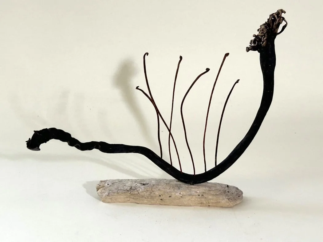 A piece of driftwood with bent twigs resembling a water creature, set on a plain white background.