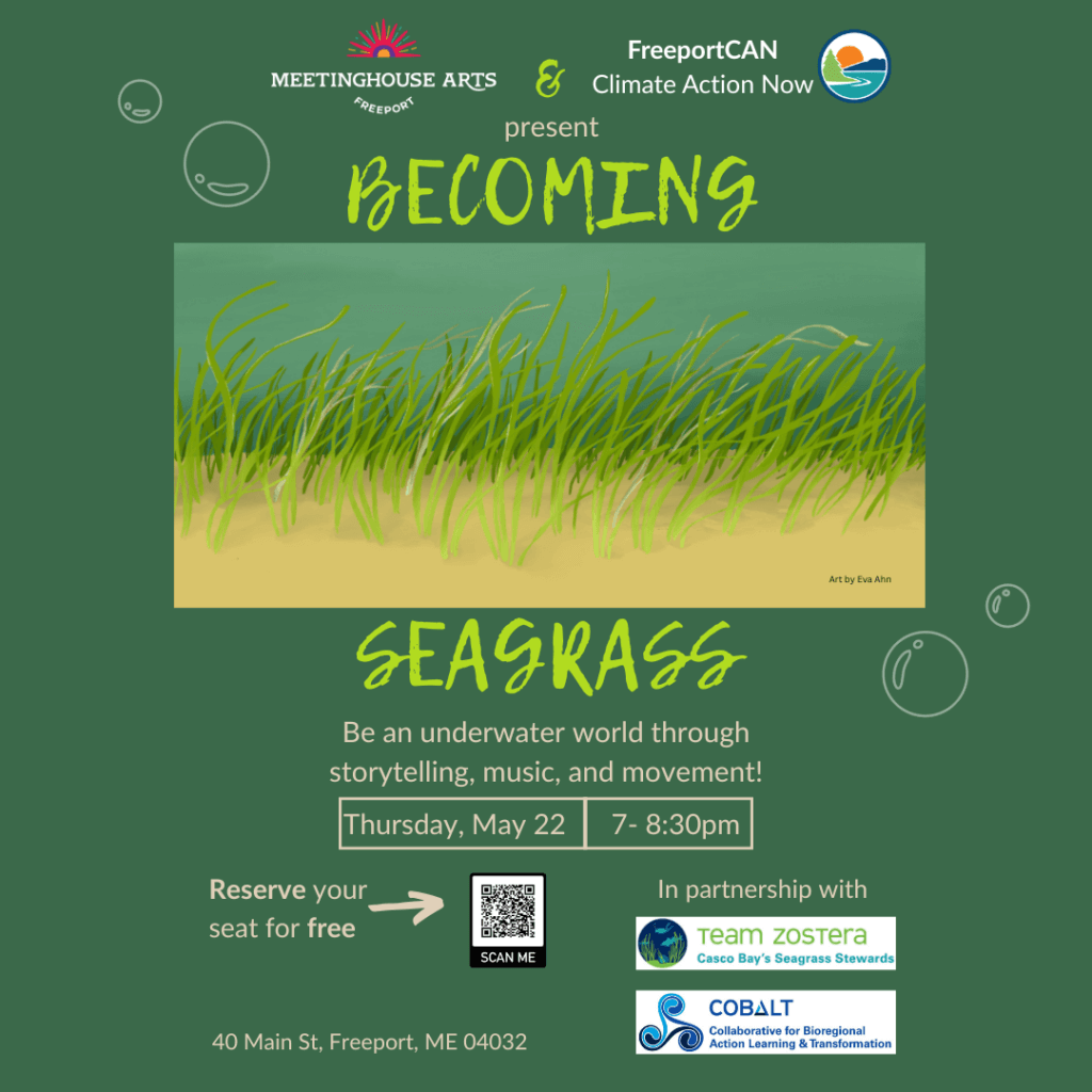 BecomingSeagrass.png