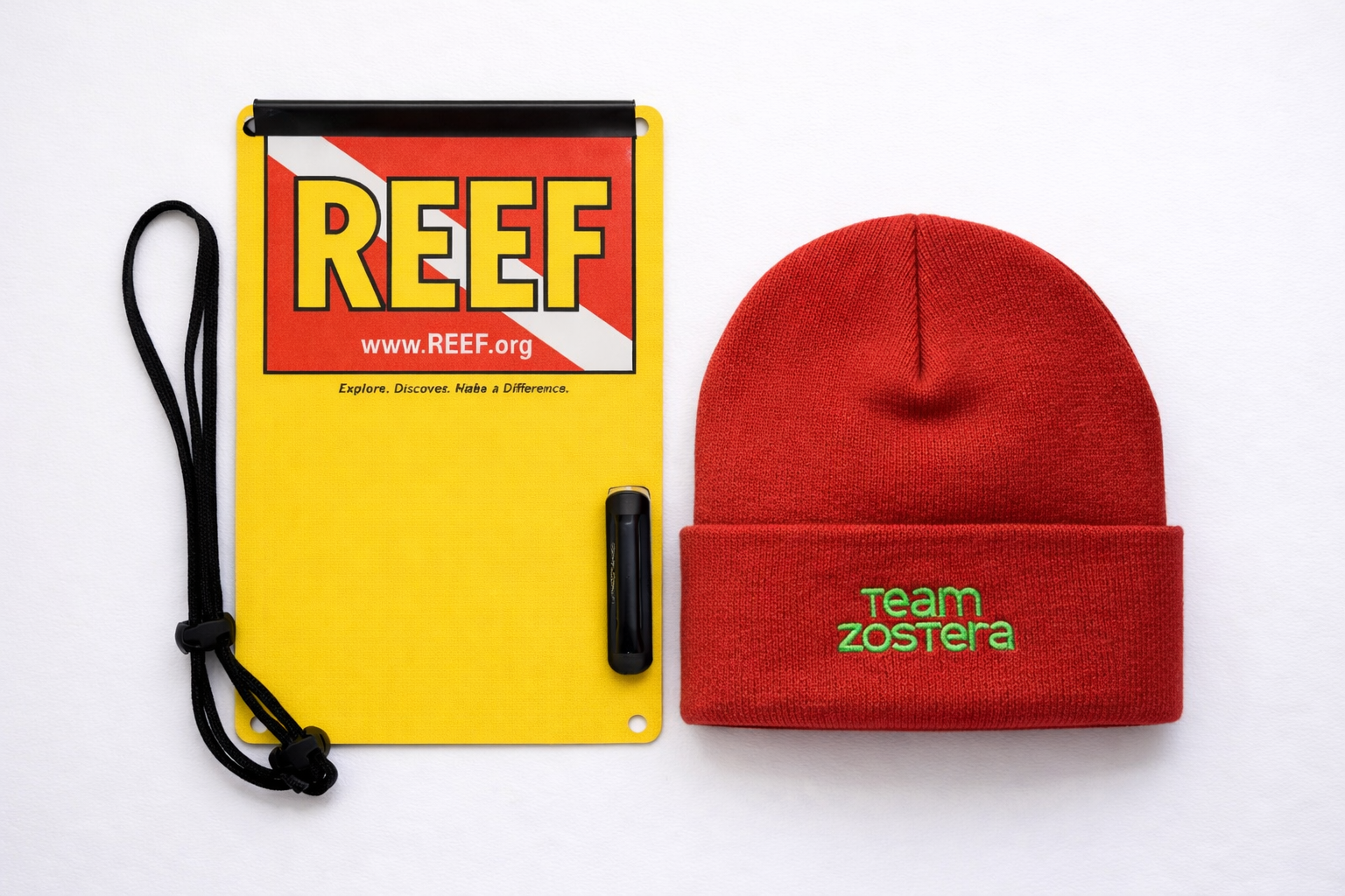 REEF × Team Zostera Field Kit: Dive Slate + Reversible Beanie