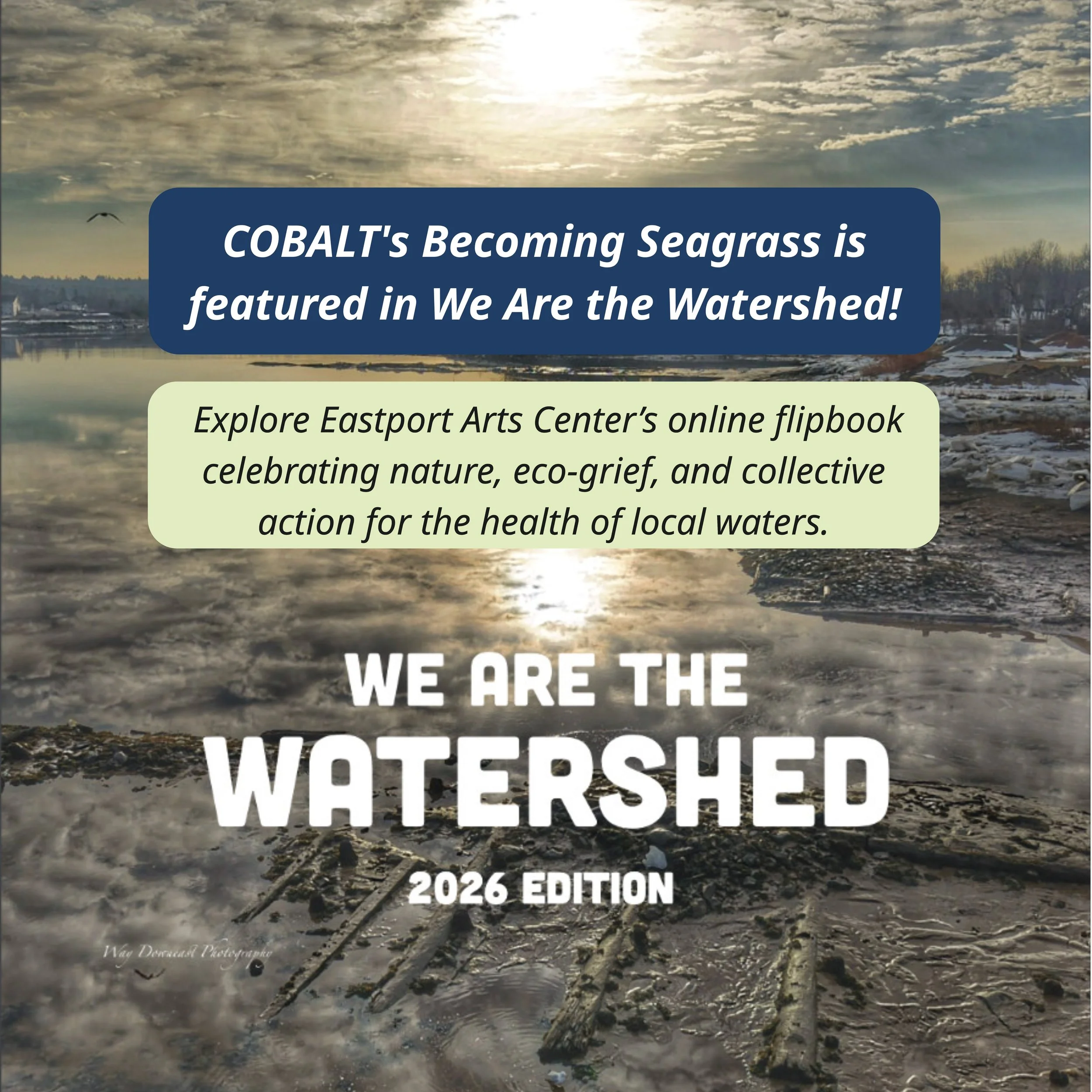 We Are Watershed.jpg
