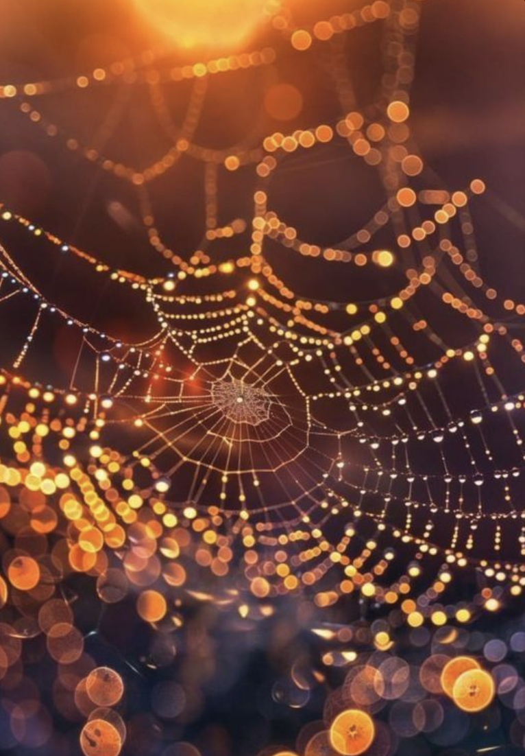 Full Aura Purification