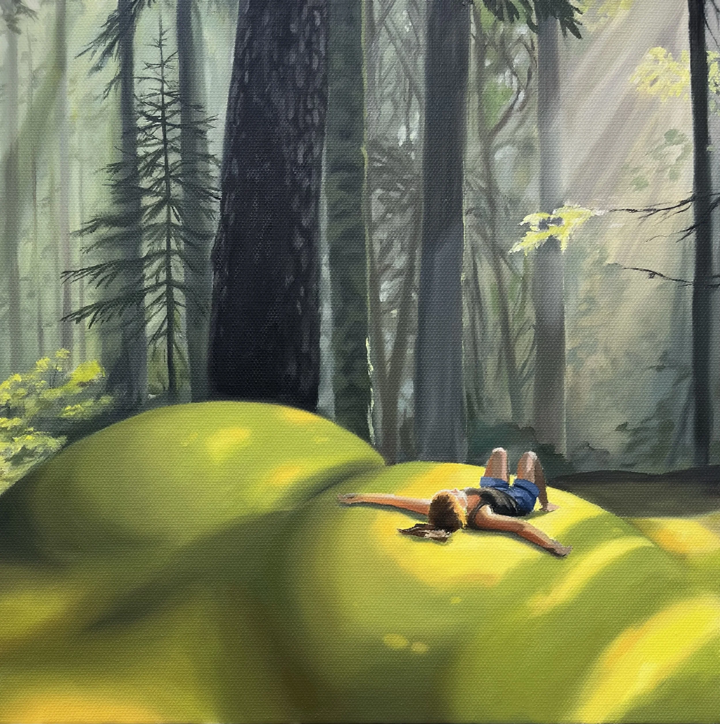 The benefits of forest bathing