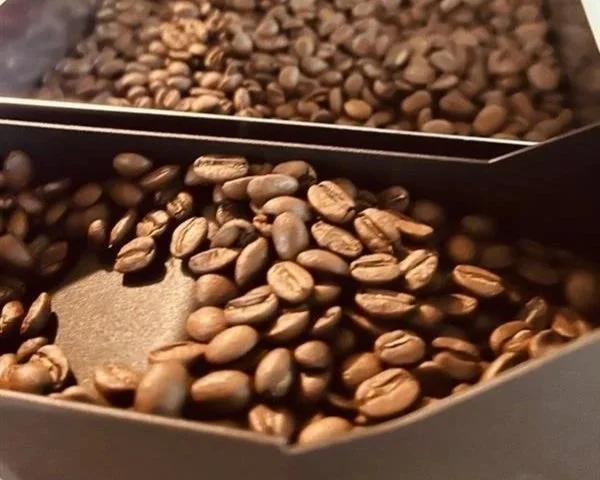 Close-up of roasted coffee beans spilling from a container.