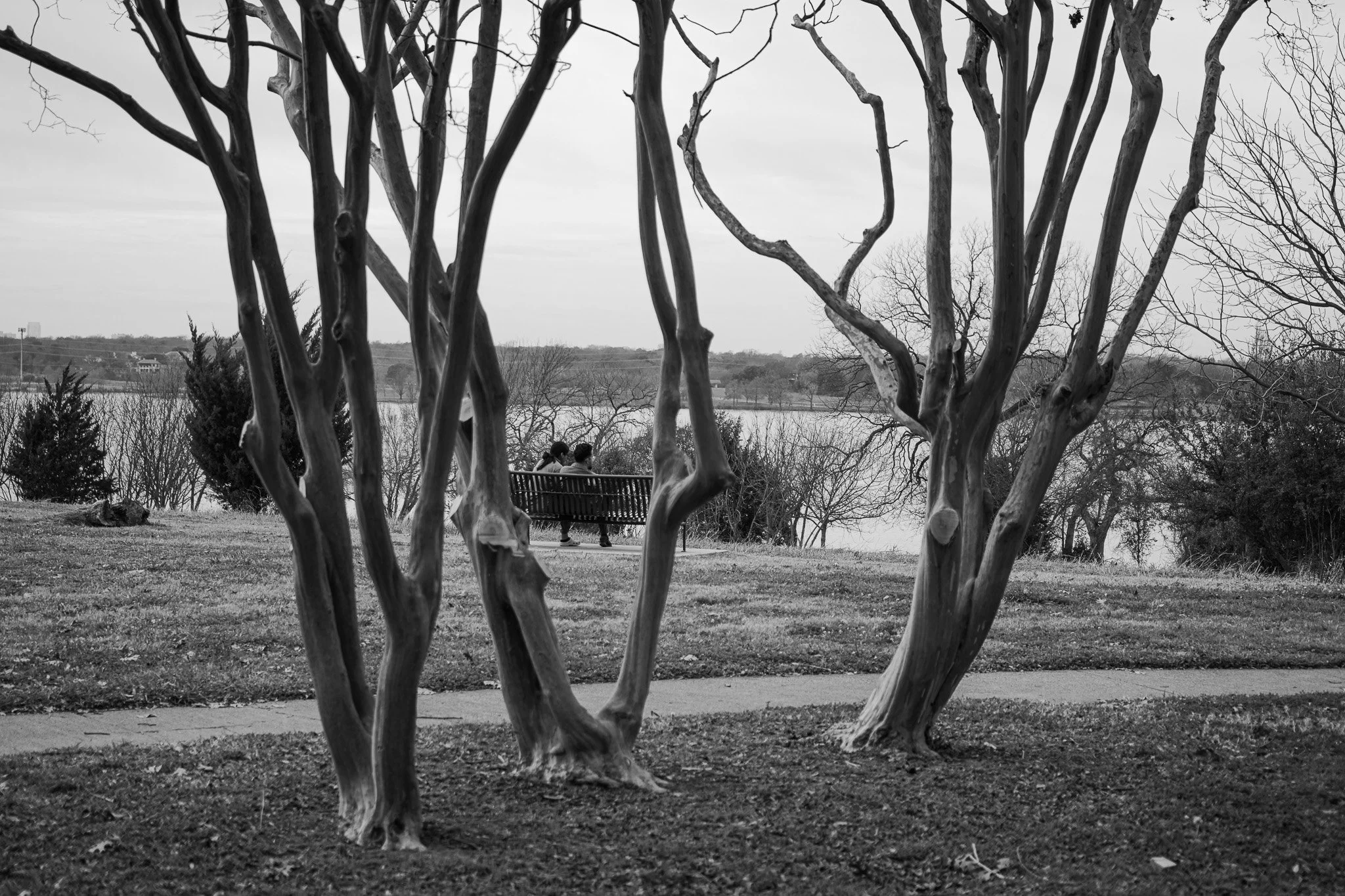 Three people sit on a bench in a park, framed by leafless trees, with a body of water and distant landscape in the background, in black and white.