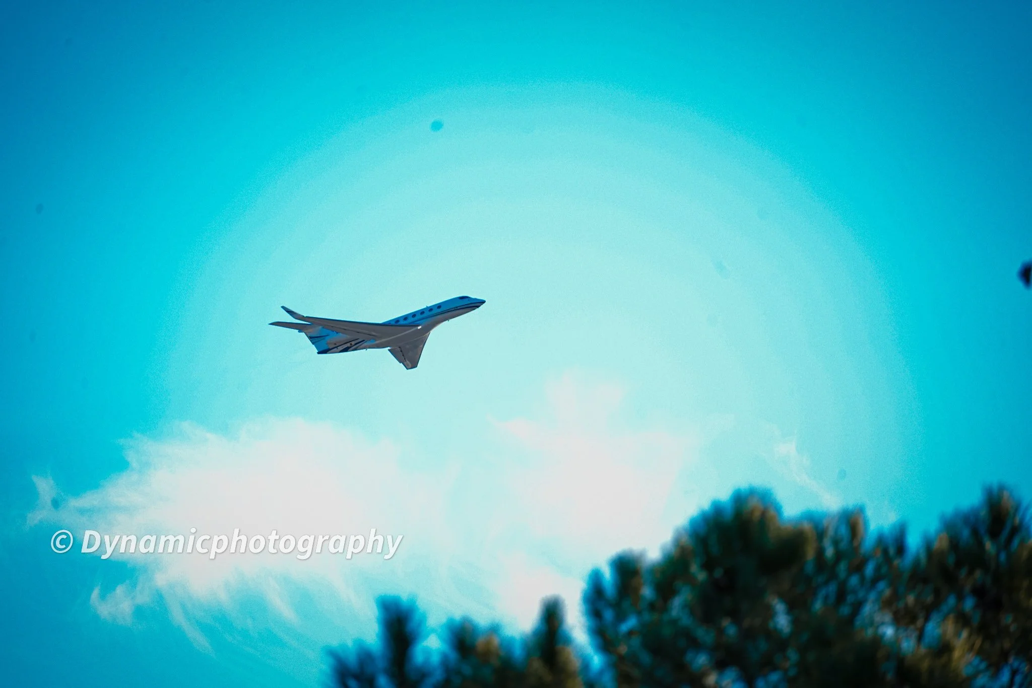 A plane flying in a clear blue sky with some clouds, seen from below with tree tops in the foreground.