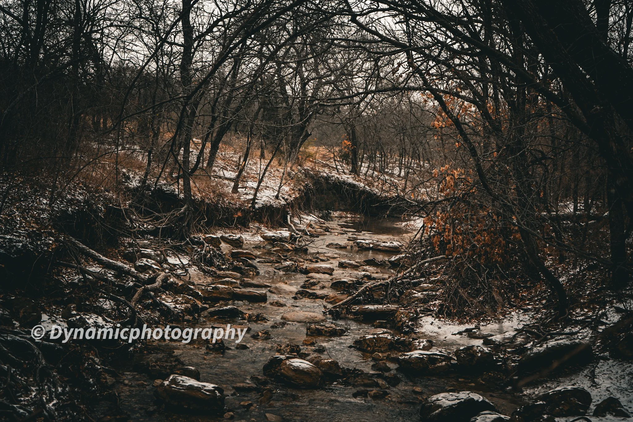 A wooded winter landscape with a small stream flowing through, snow on the ground and bare trees with some brown leaves.
