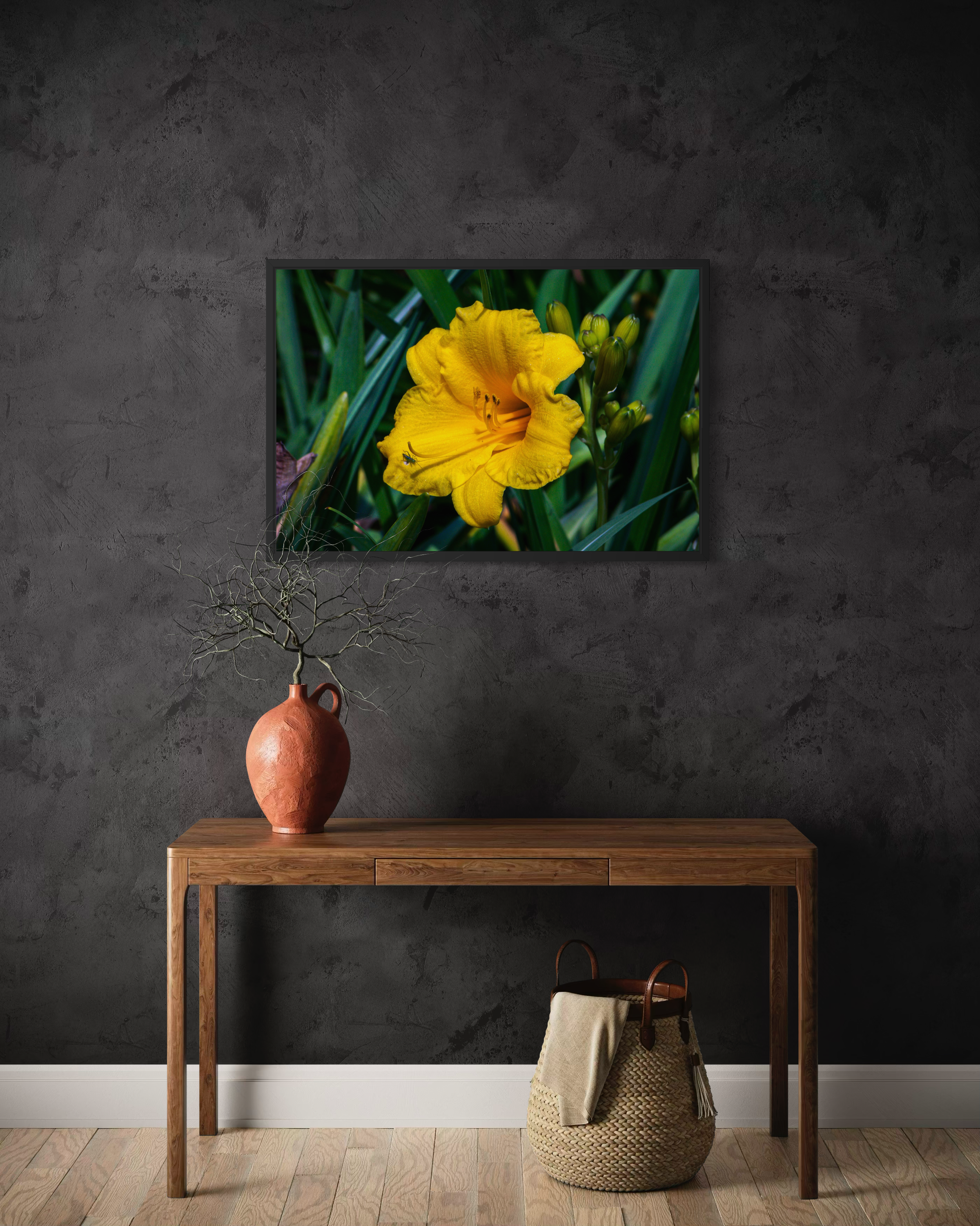 Yellow Daylily with Visitor